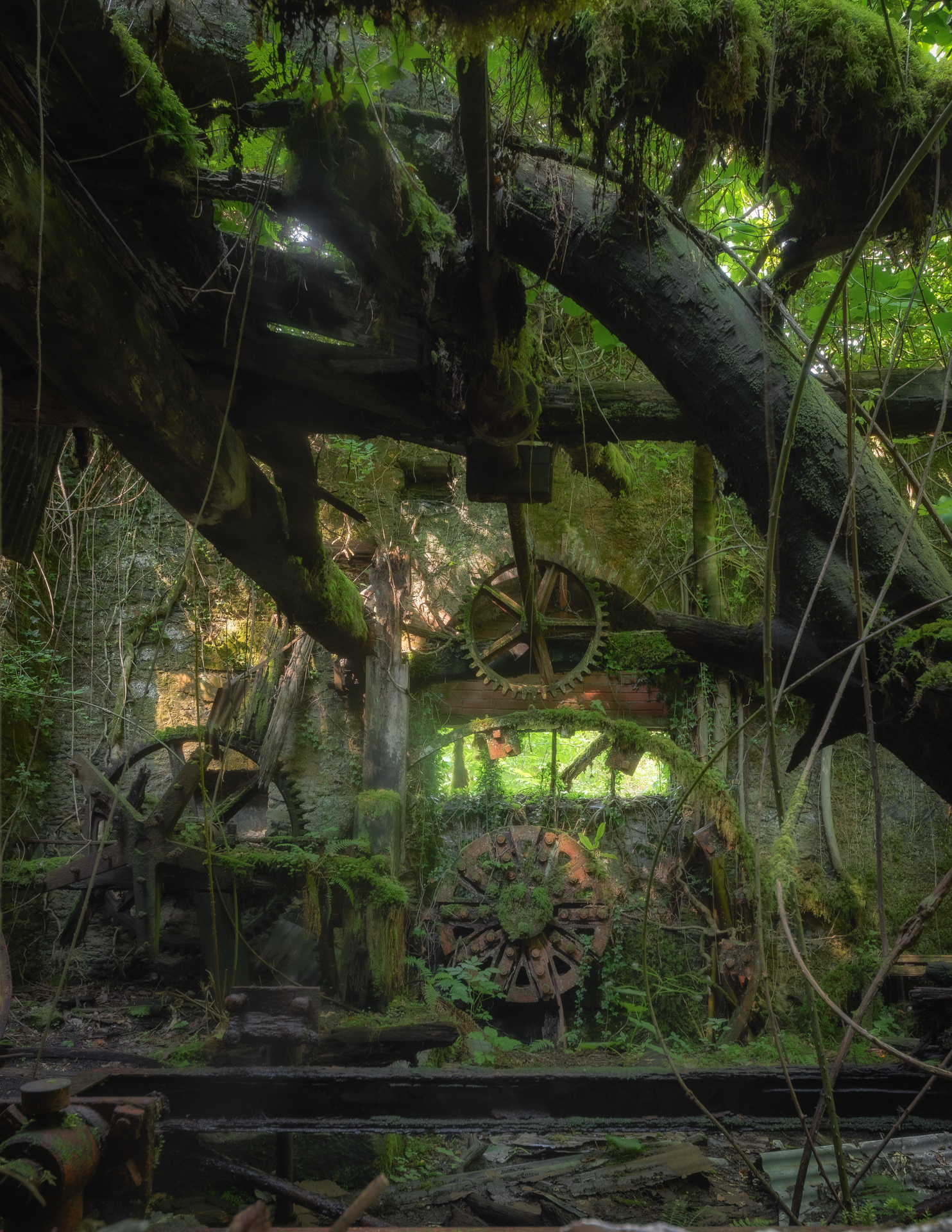 L'ingranaggio della natura