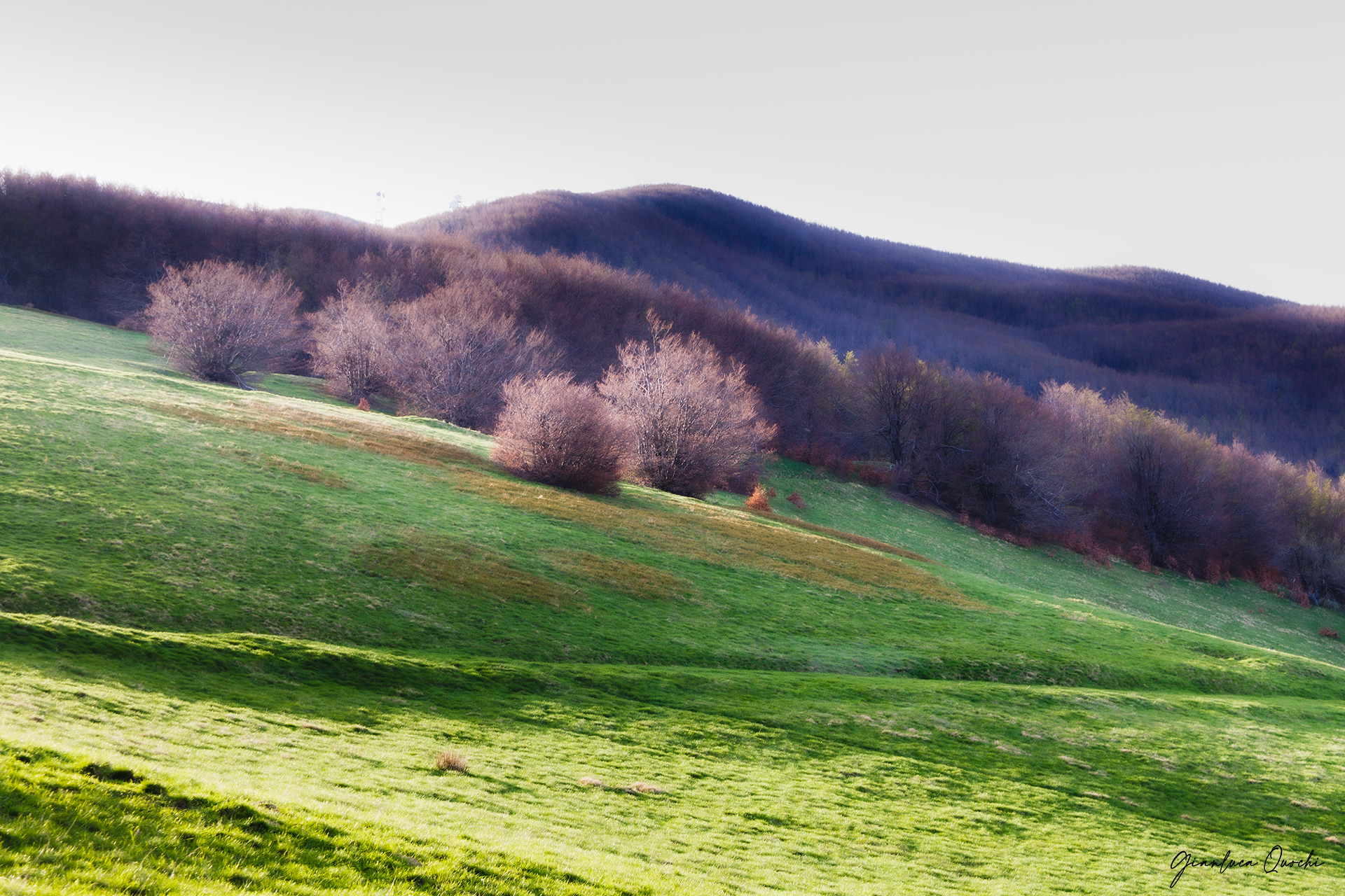 Monte Falco