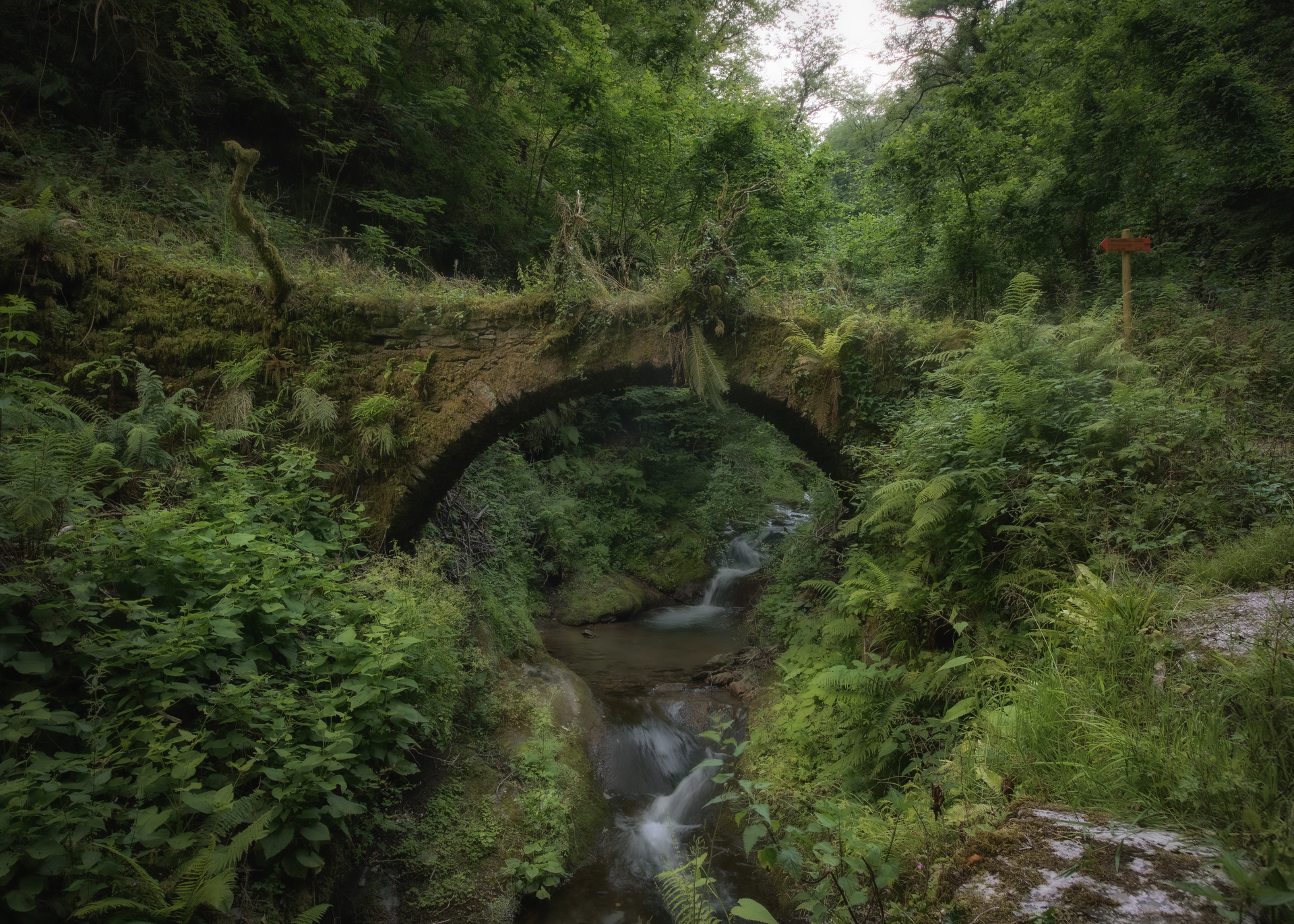 Perdere la via ...per ritrovarsi...