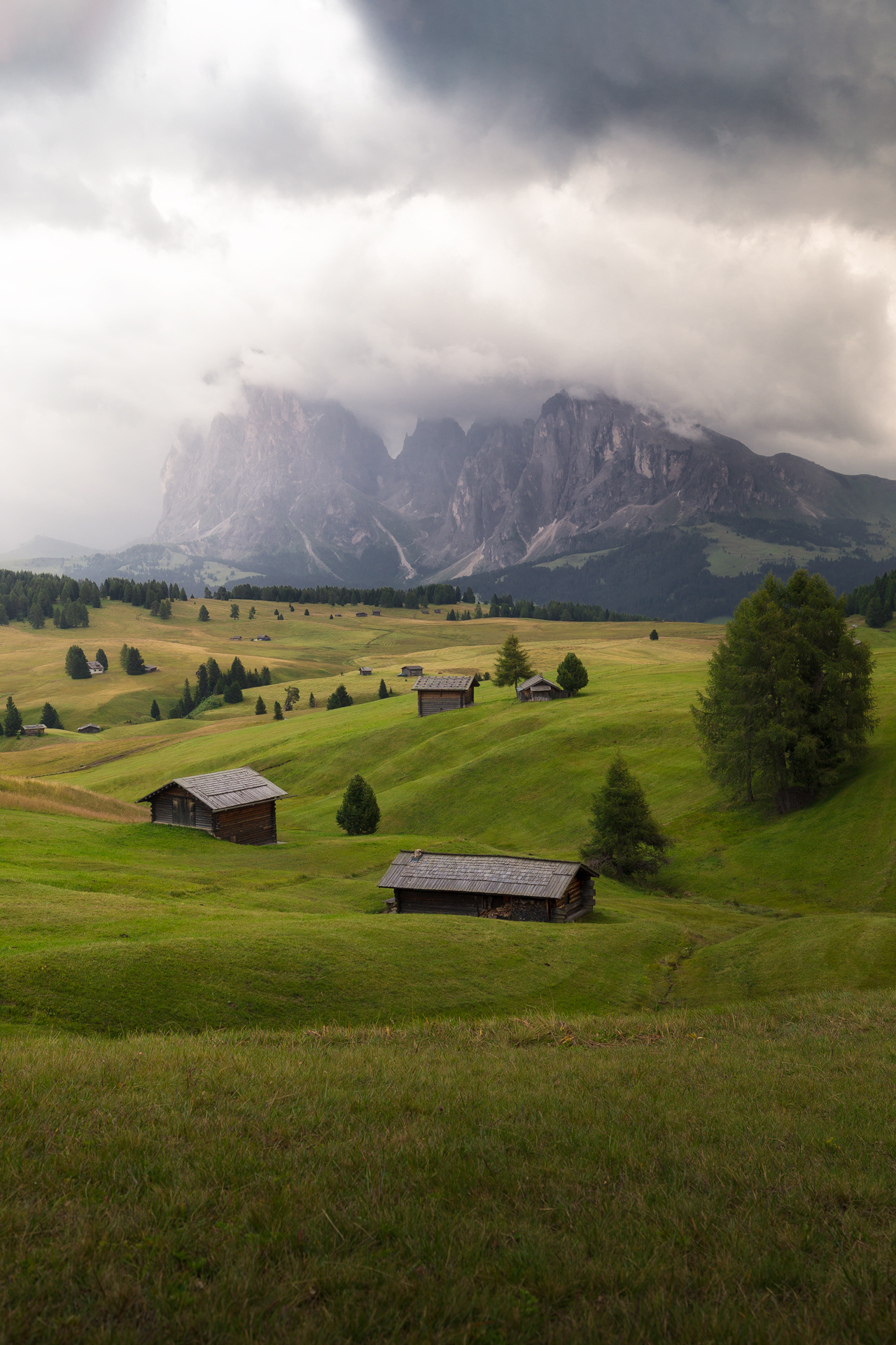 Alpe di Siusi