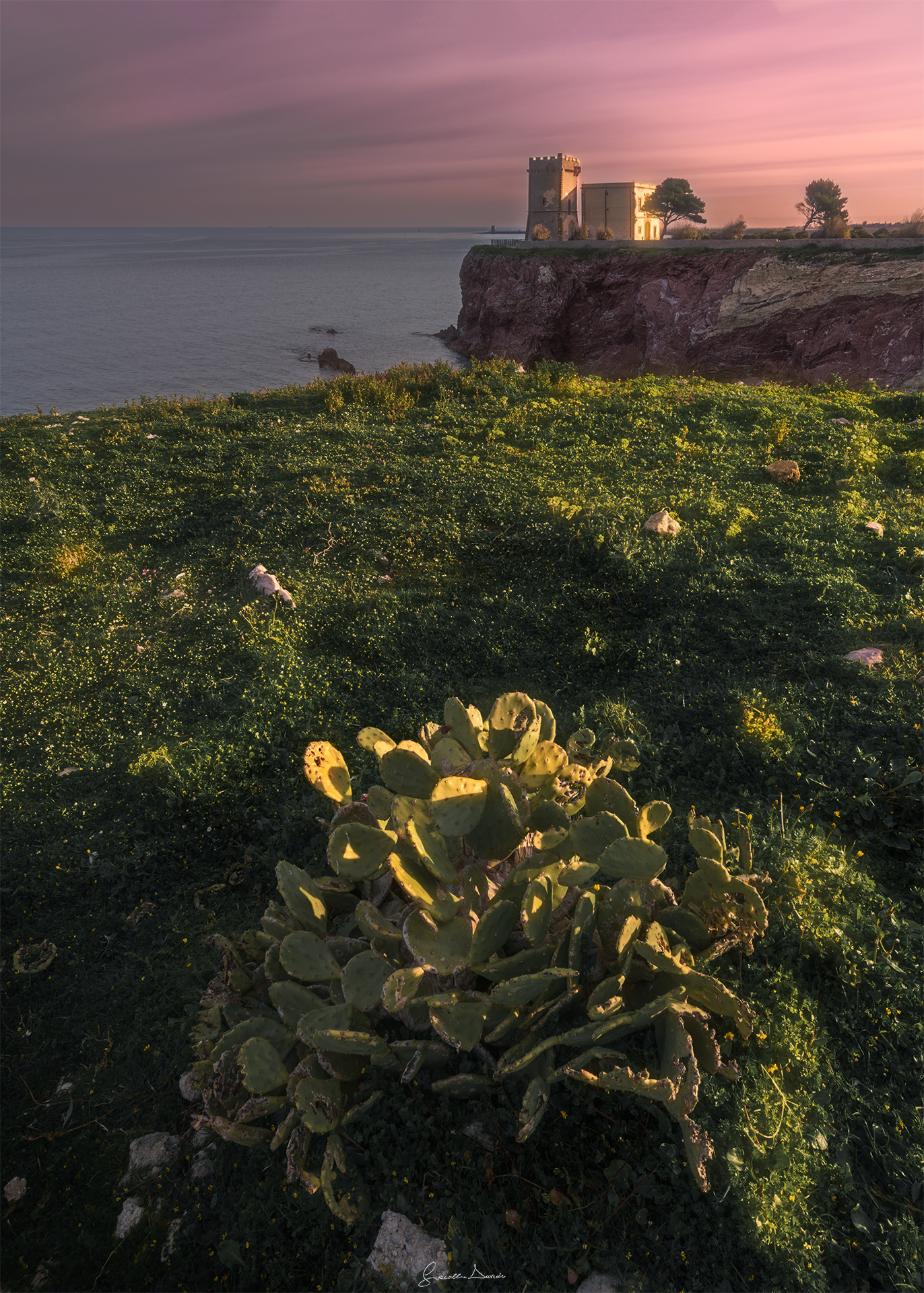 Prospettive mediterrnee