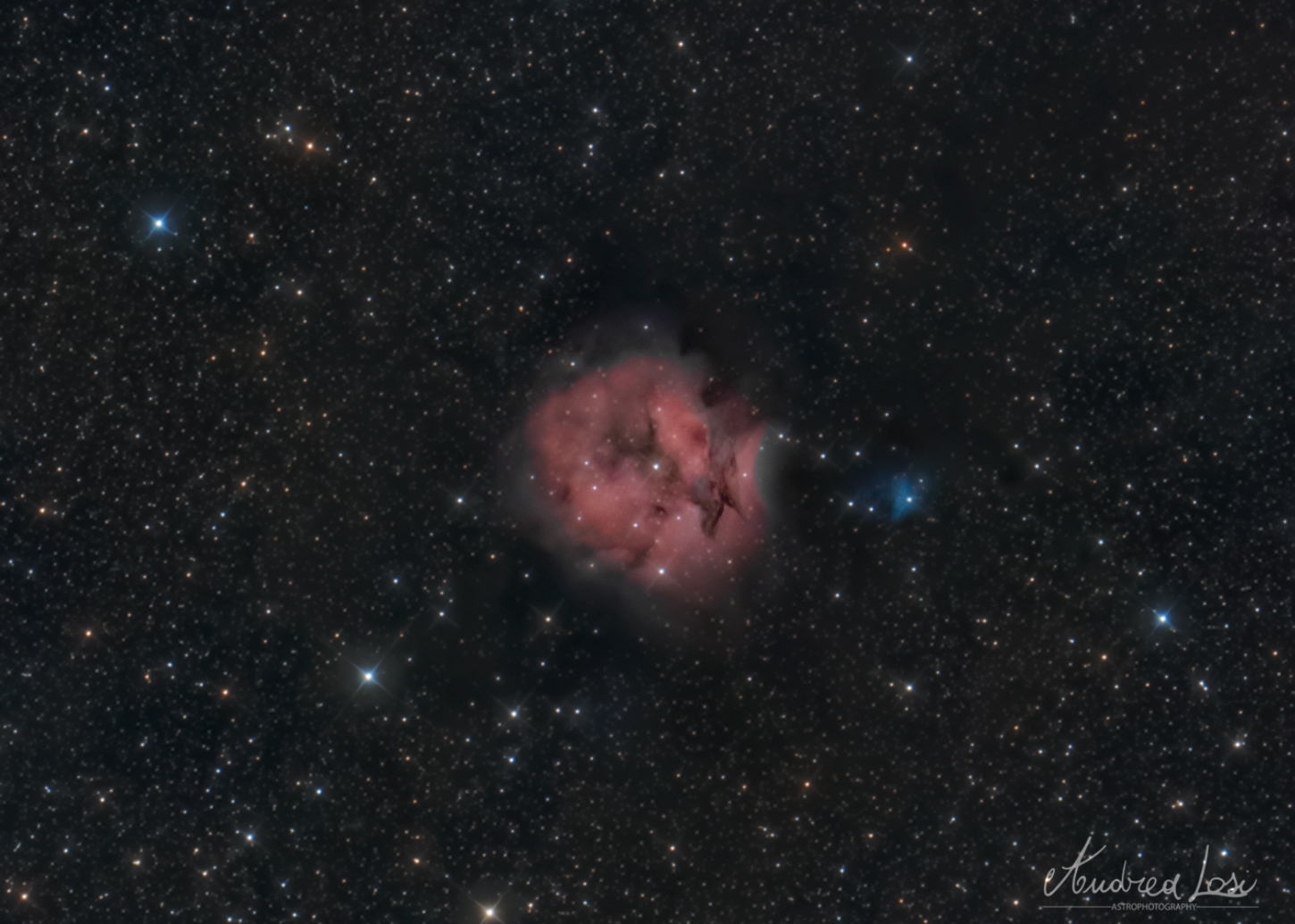 Cocoon Nebula