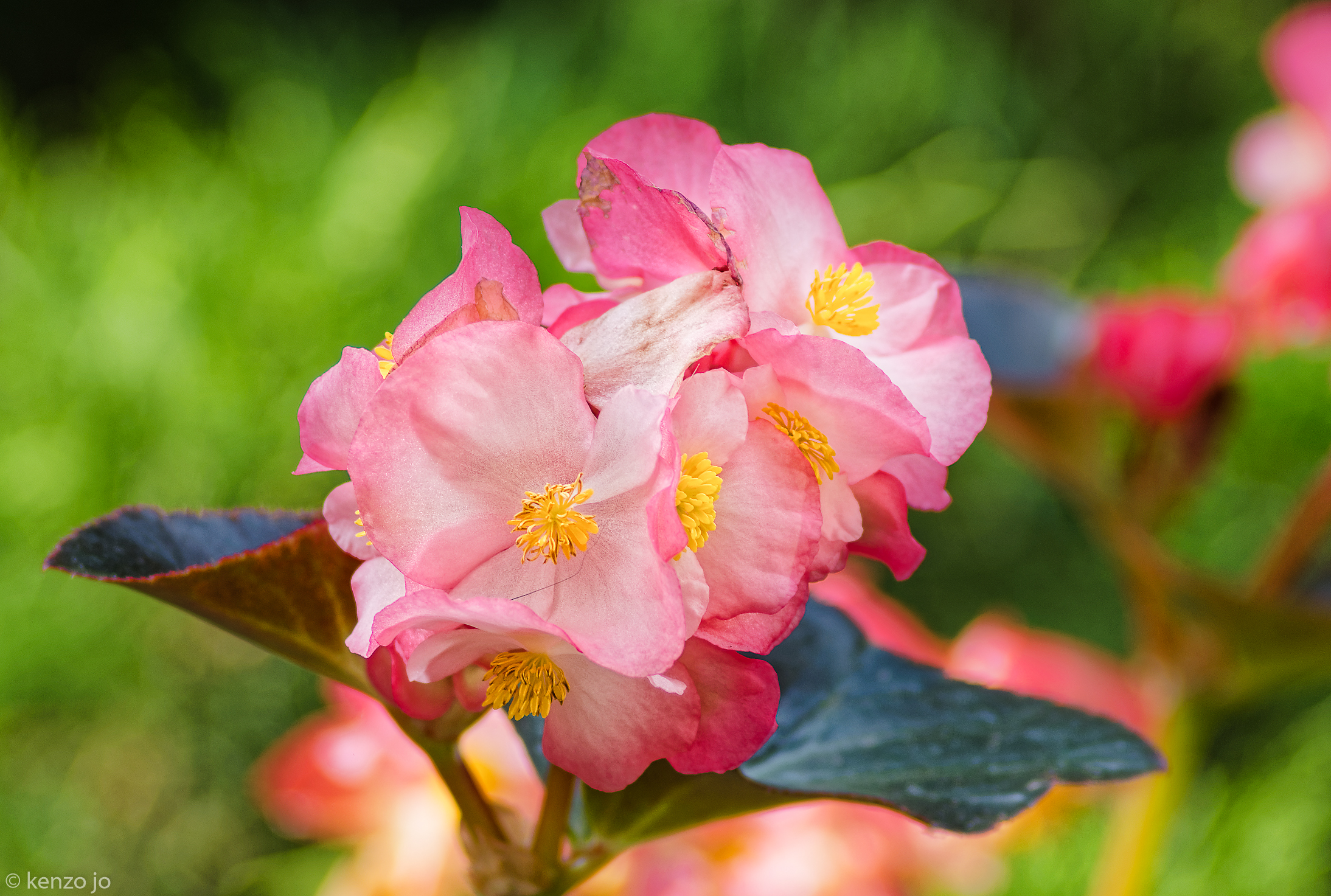 First click with Russian