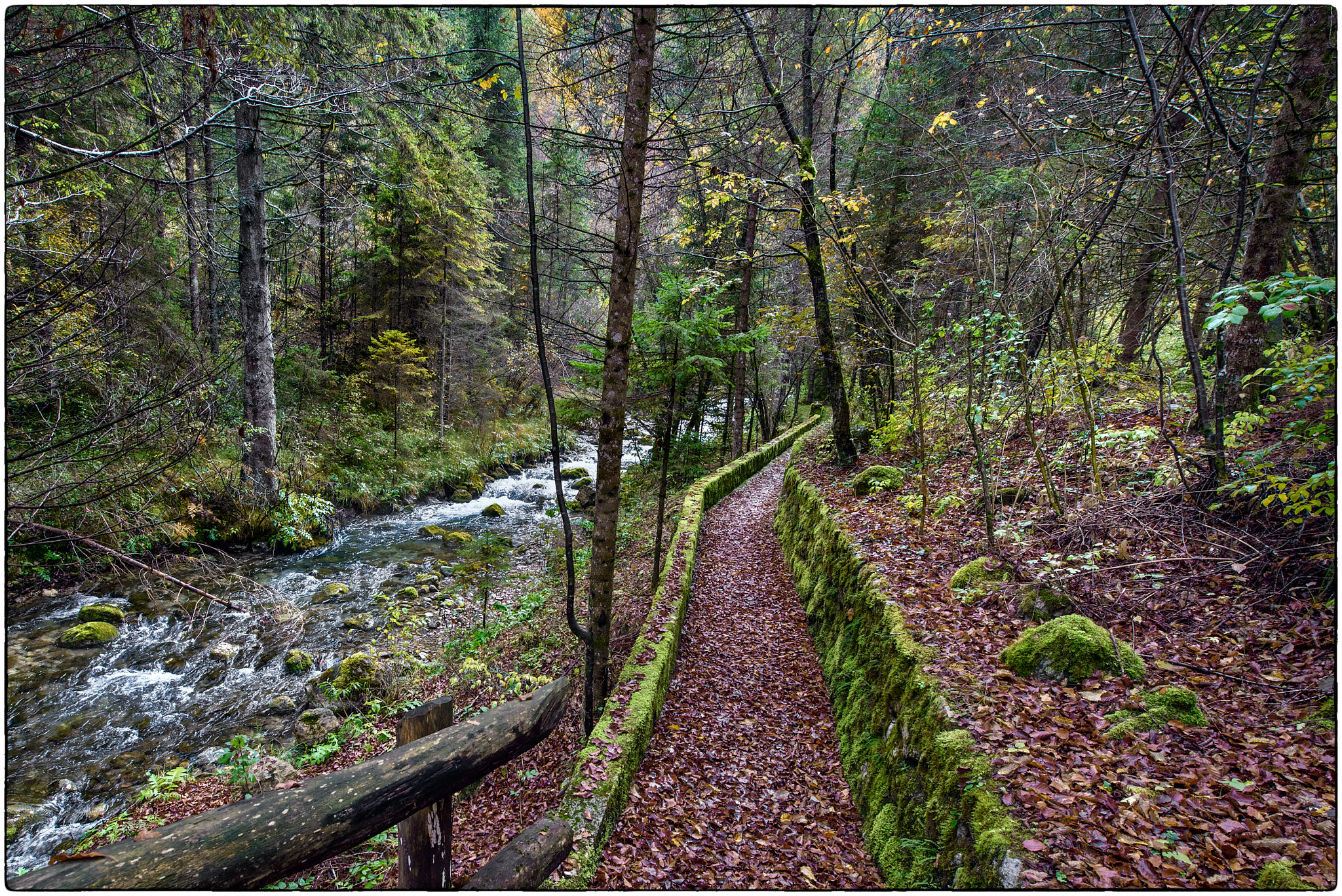 Passage in Val di Tovel (TN)