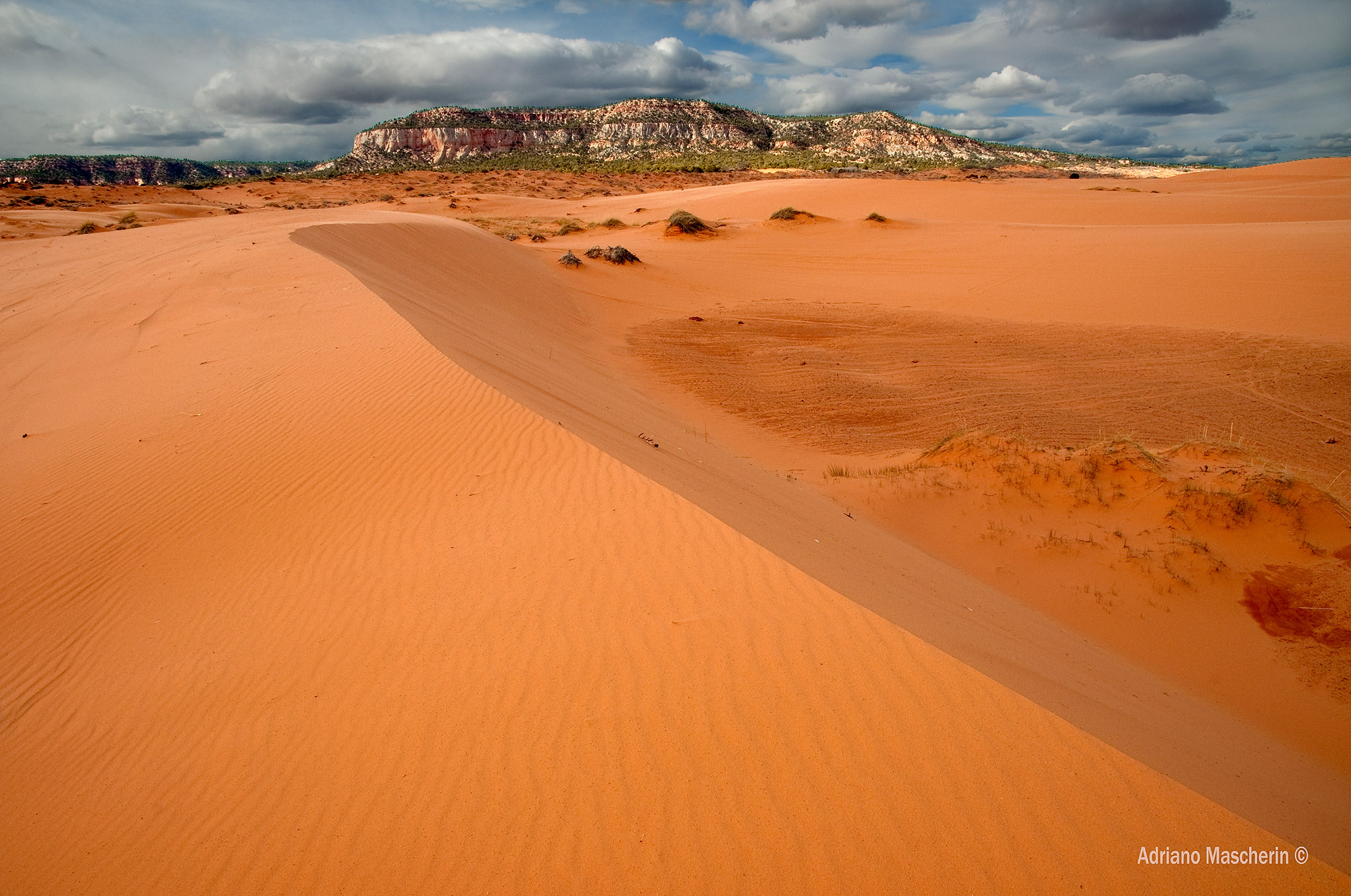 Coral Pink Sand Dunes
