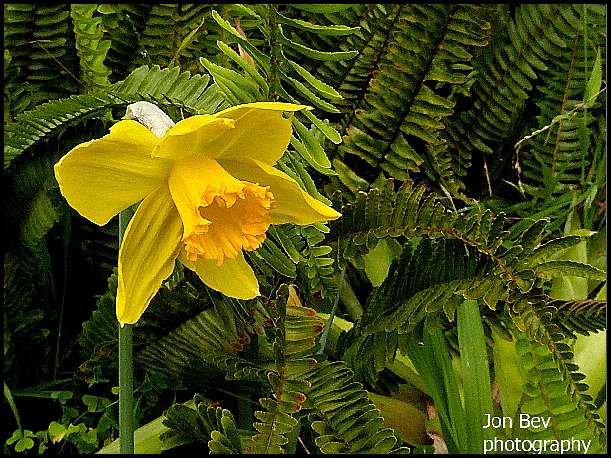 La primavera è arrivata