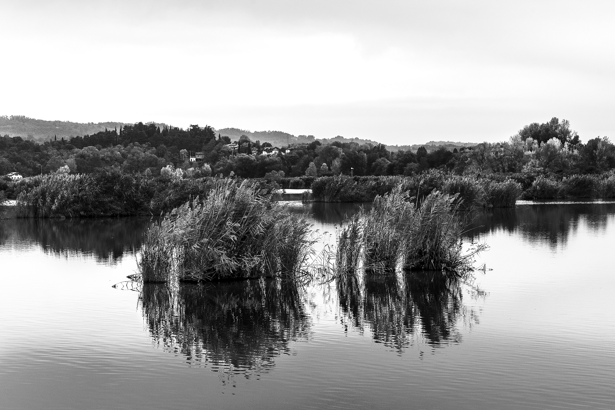 Le Torbiere del Sebino