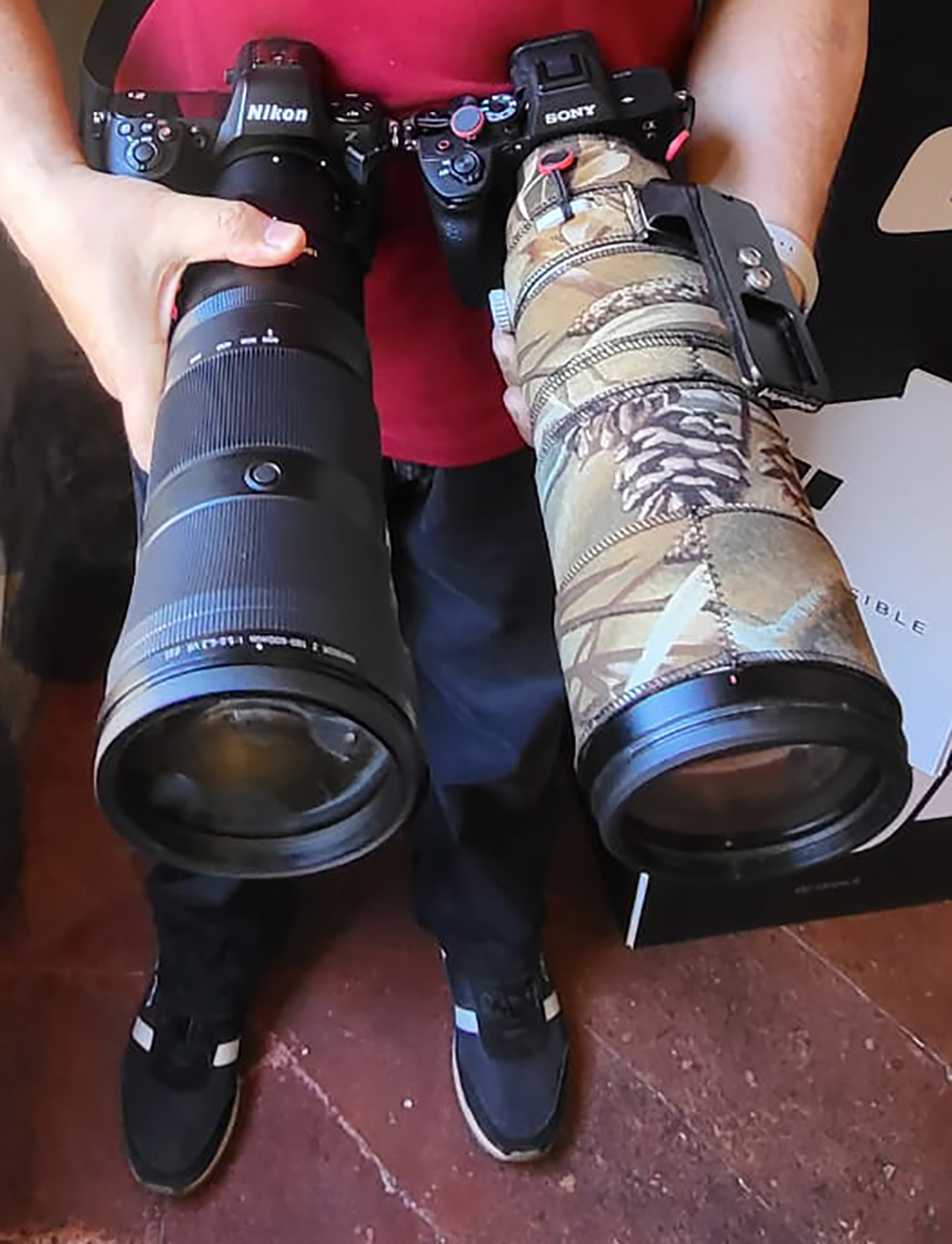 Nikon 180-600mm f/5.6-6.3 vs Sony 200-600mm f/5.6-6.3
