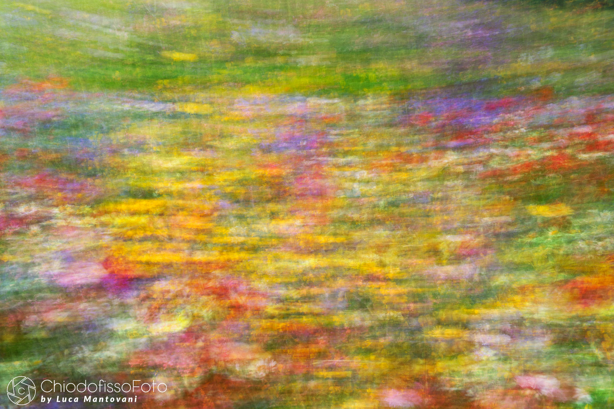 My "first" vision of Castelluccio