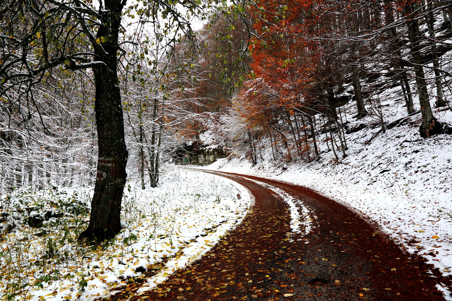 Salita verso il monte Pizzoc