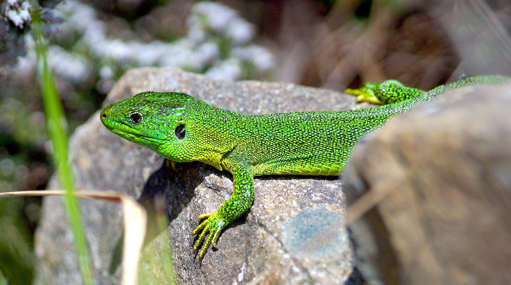 Guarda che ti ho visto!!!