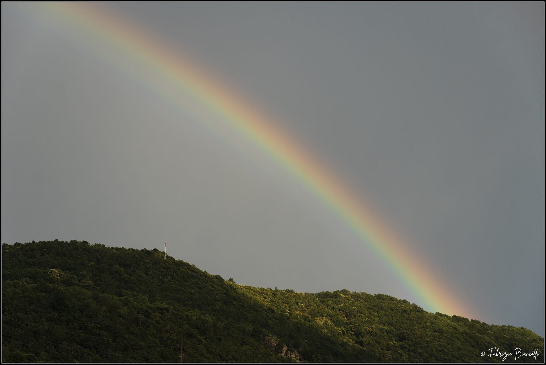 In search of the Golden Pot