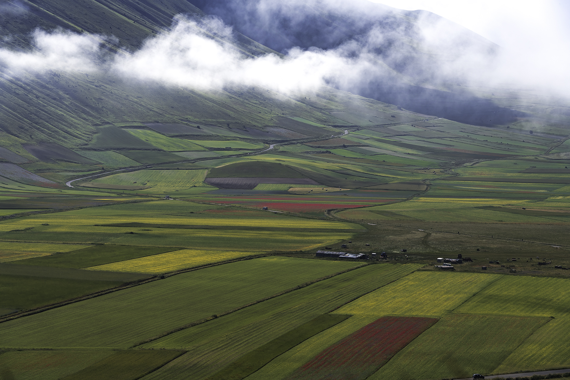 Castelluccio 2023