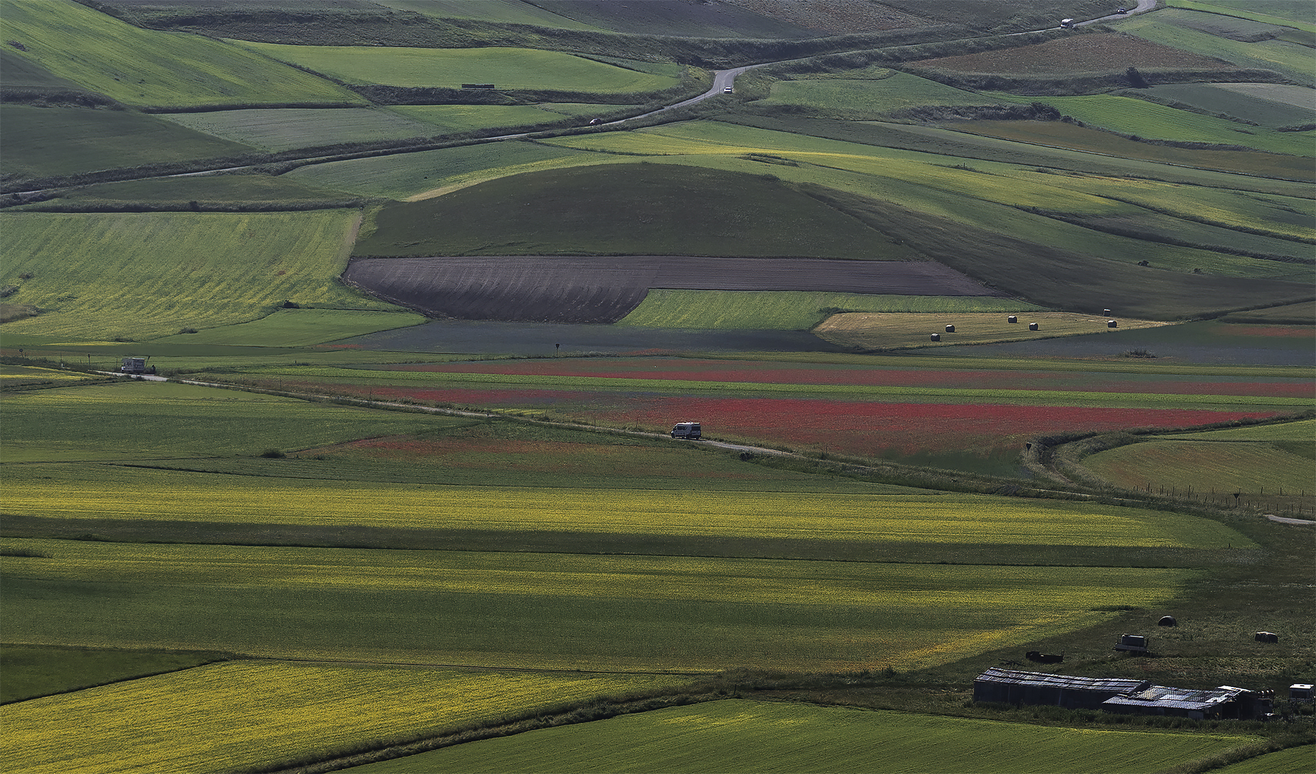 Castelluccio 2023