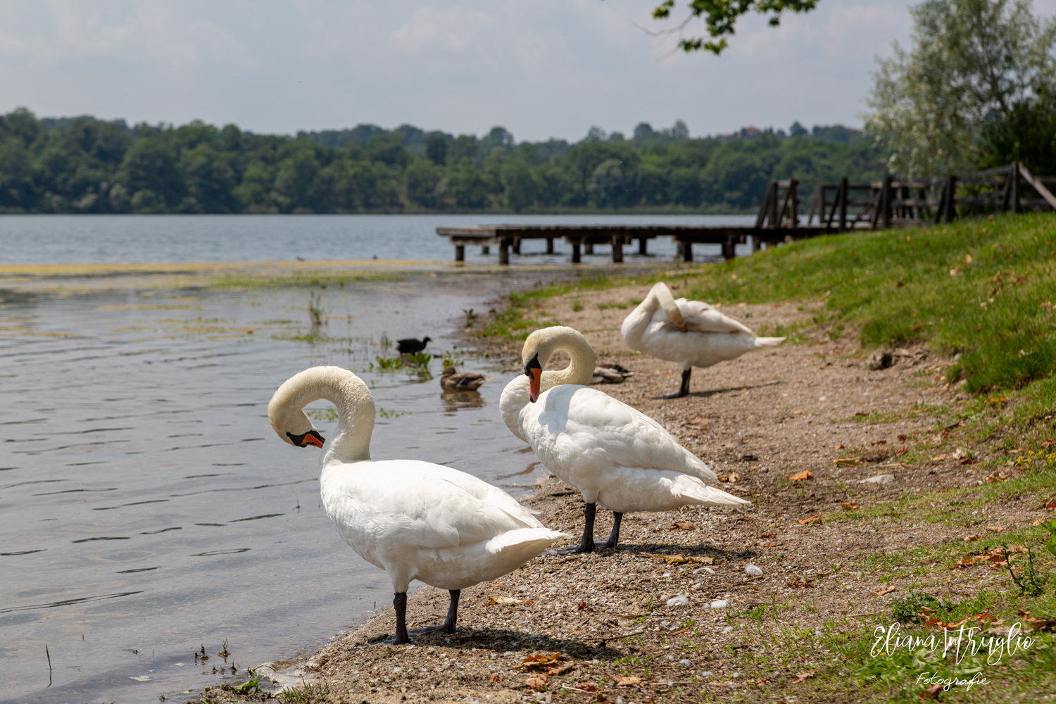 Synchronized cleaning