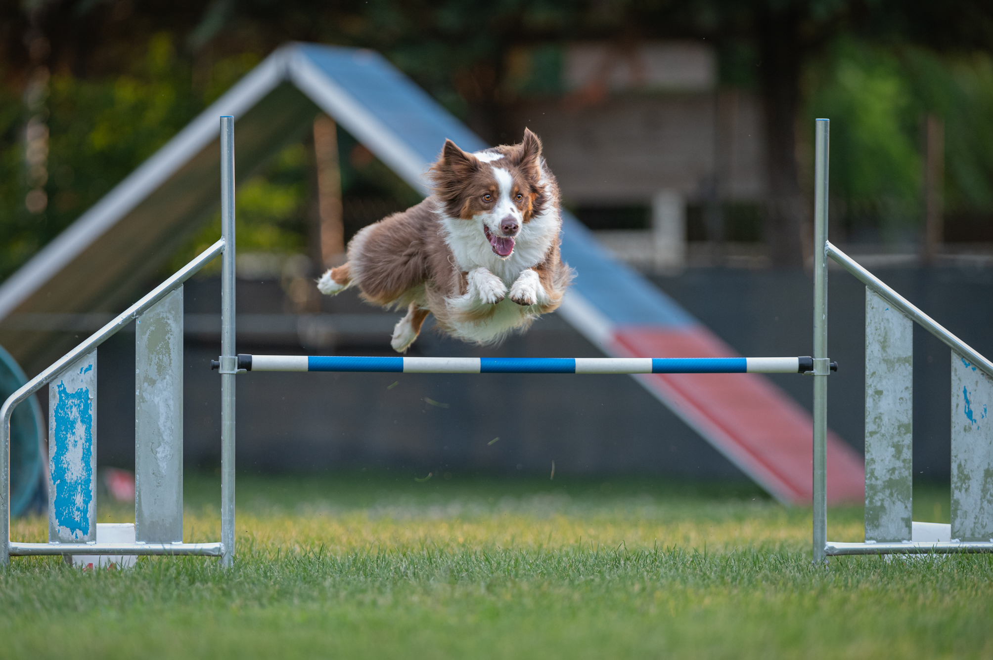 Agility