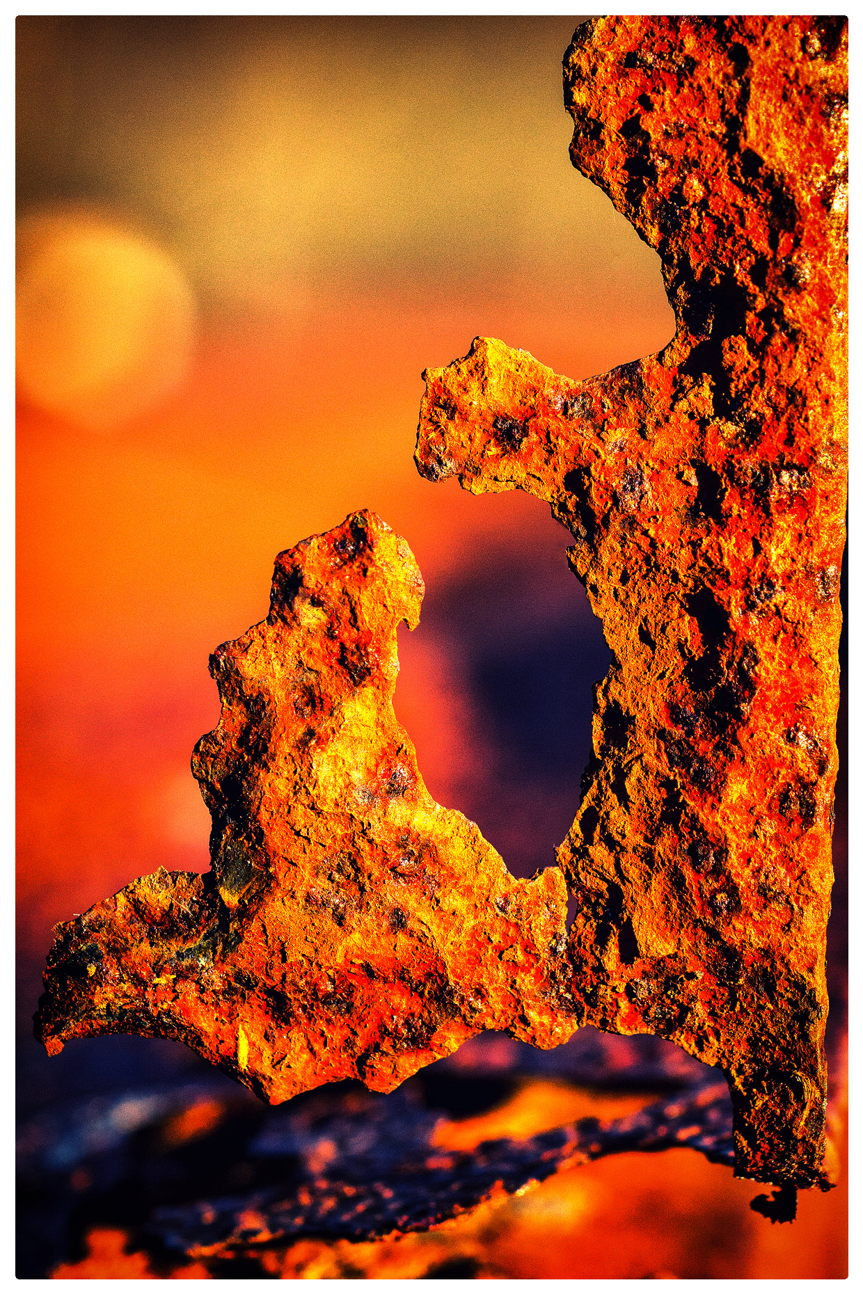 Untitled Photo