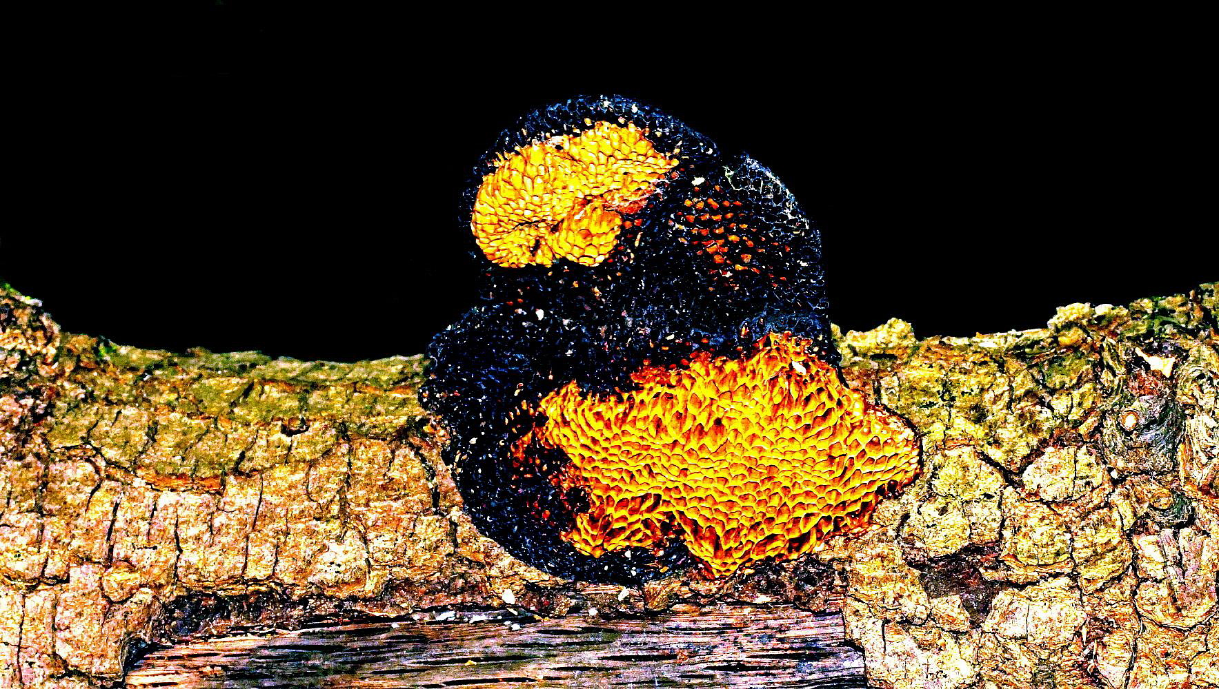 Incontri serali particolari!