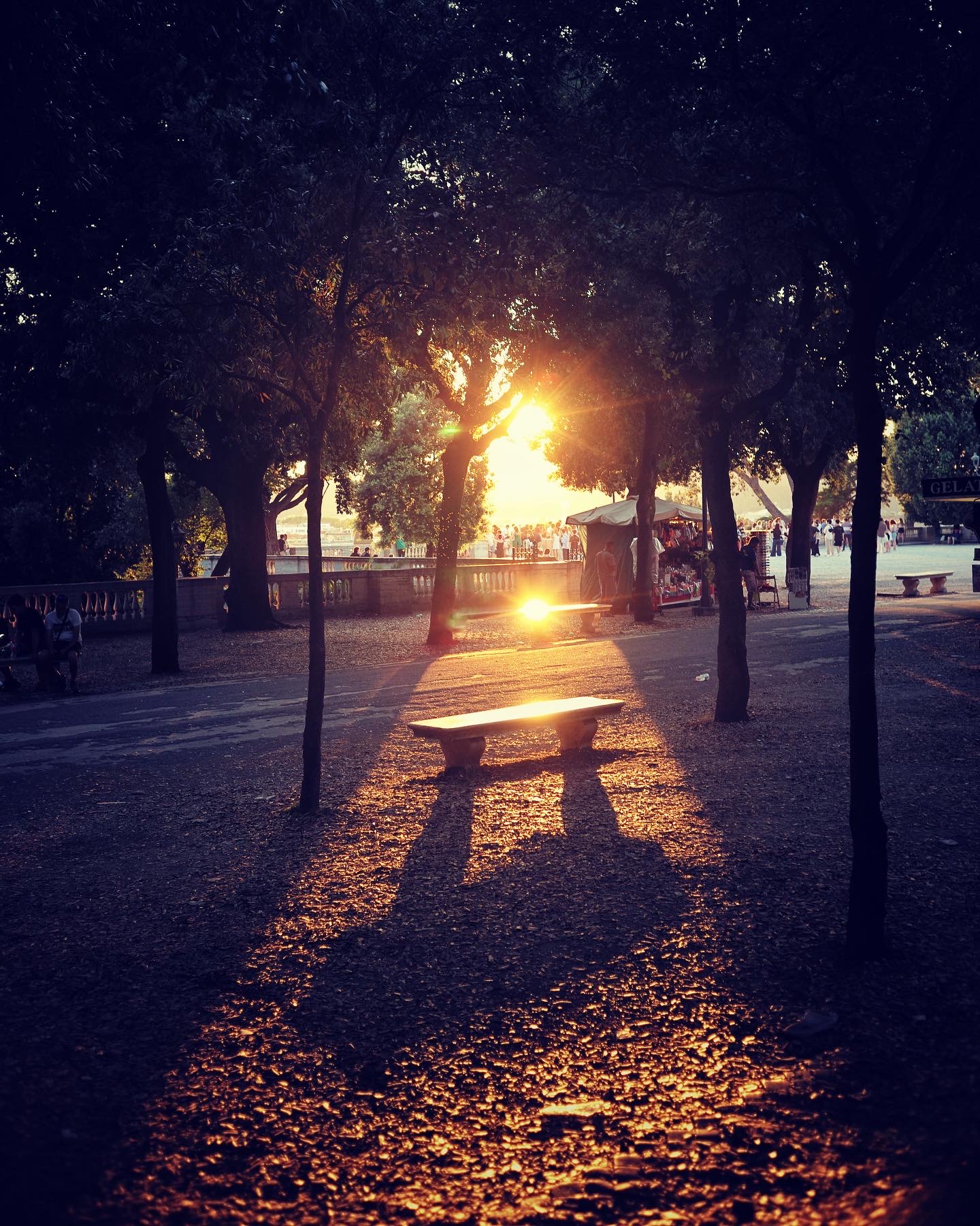 Tired of lying in the sunshine