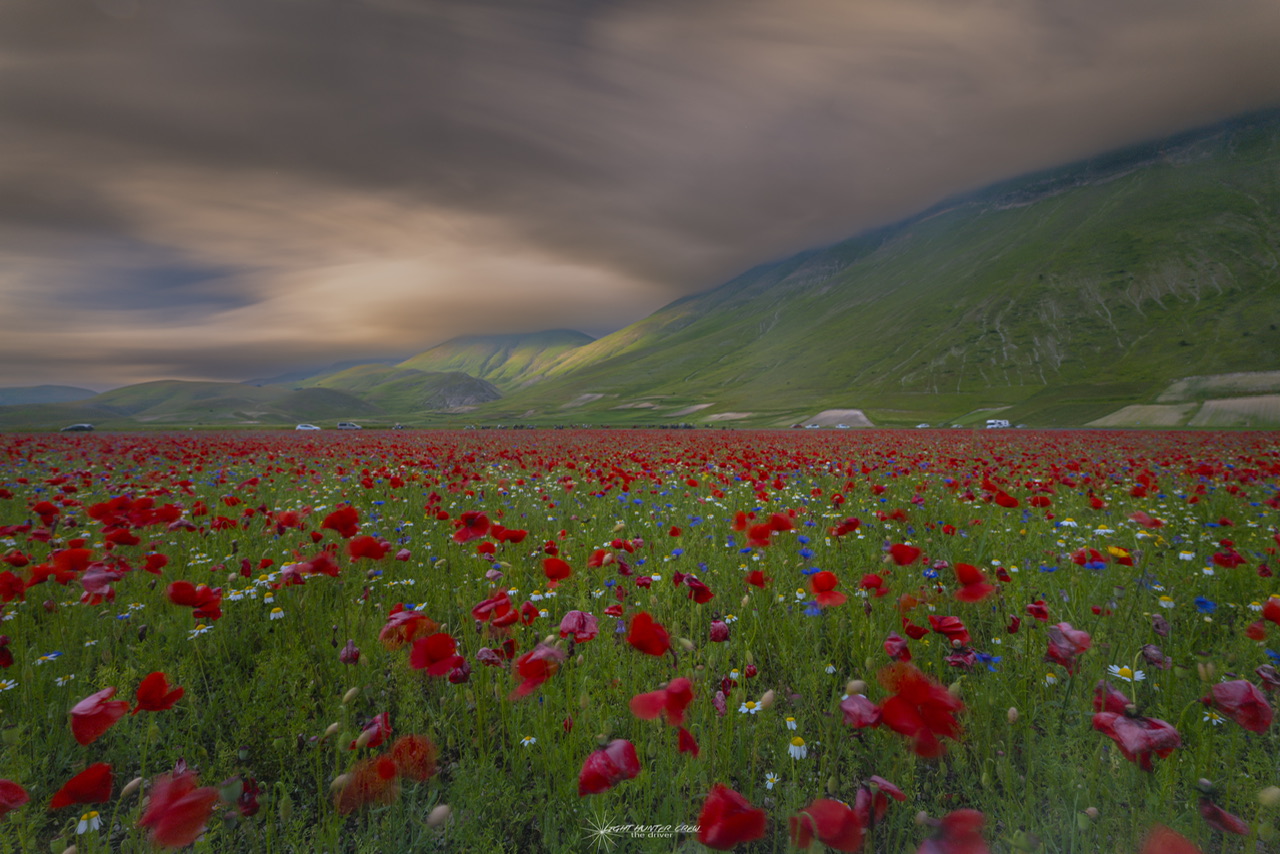 Castelluccio Fioritura 2023
