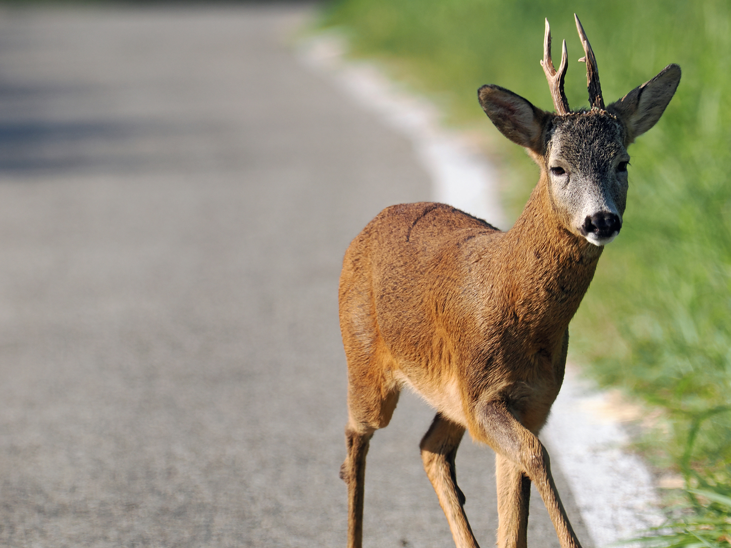 Unexpected encounter