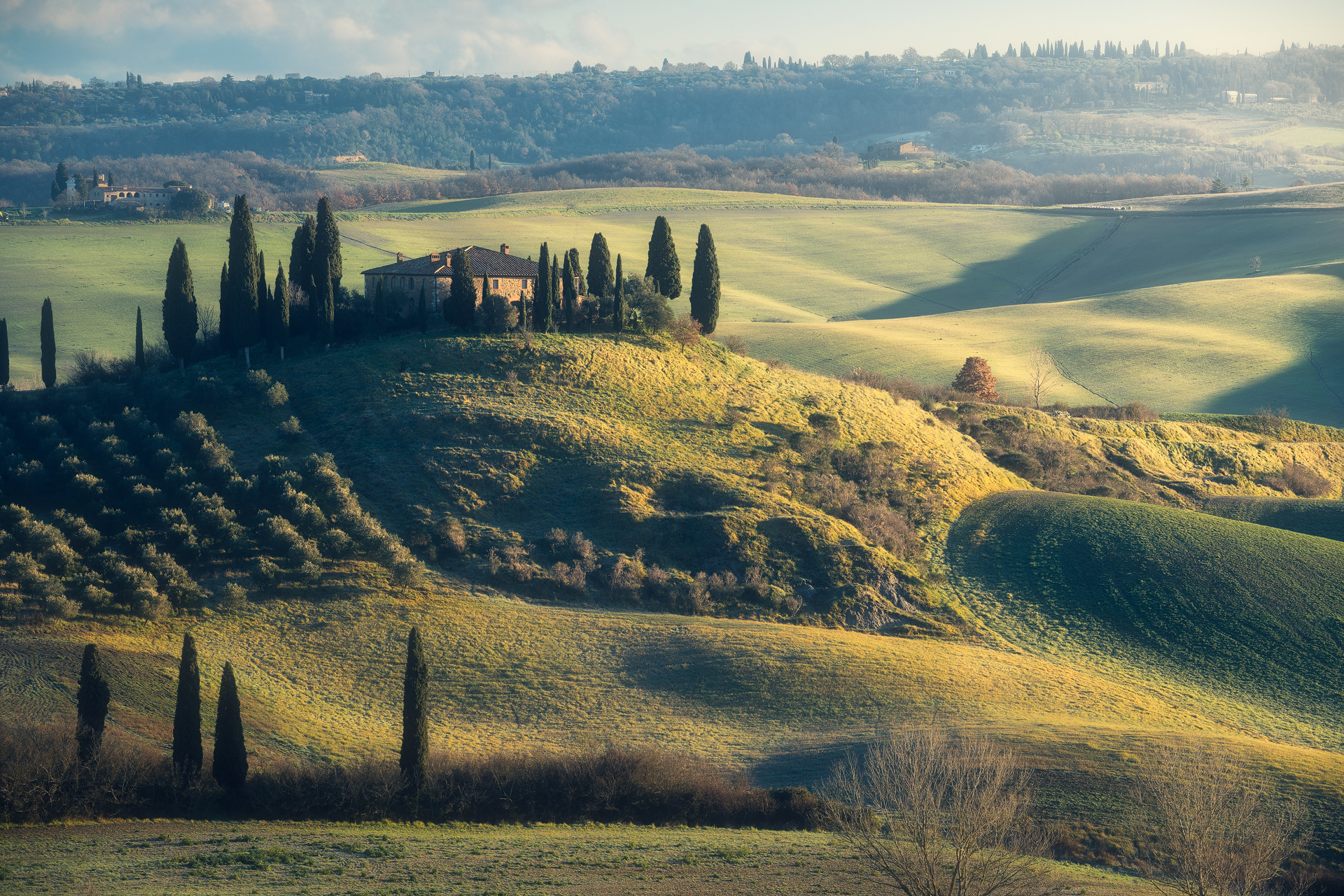 Belvedere