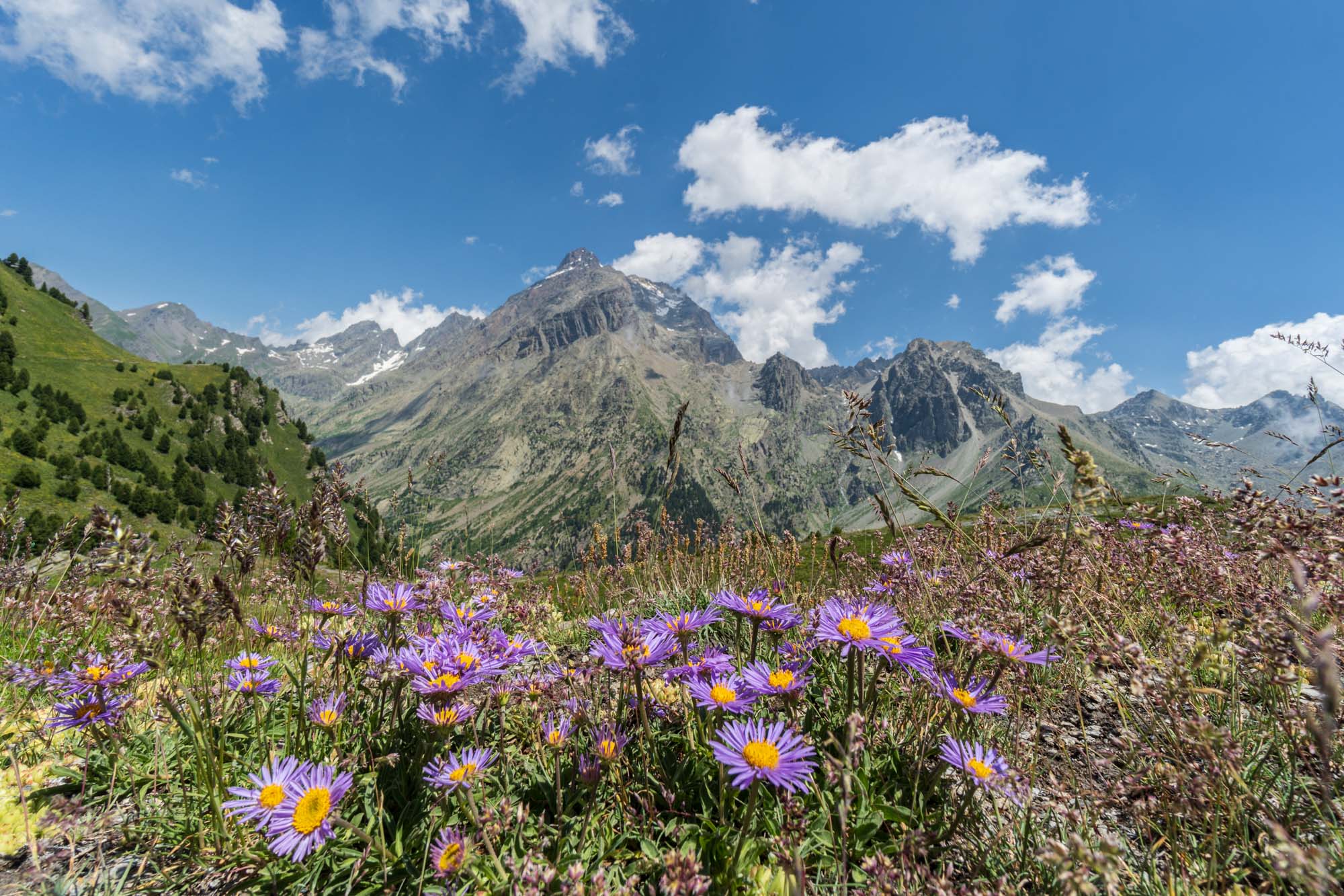Monviso (Val Varaita)