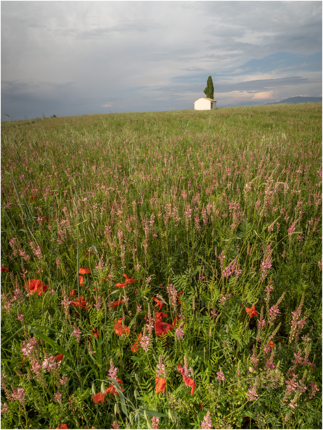 processo rigenerativo