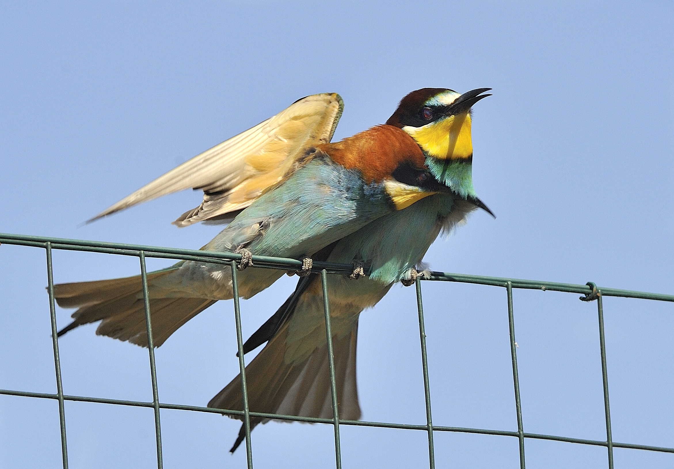 siii sono tutta tua!!