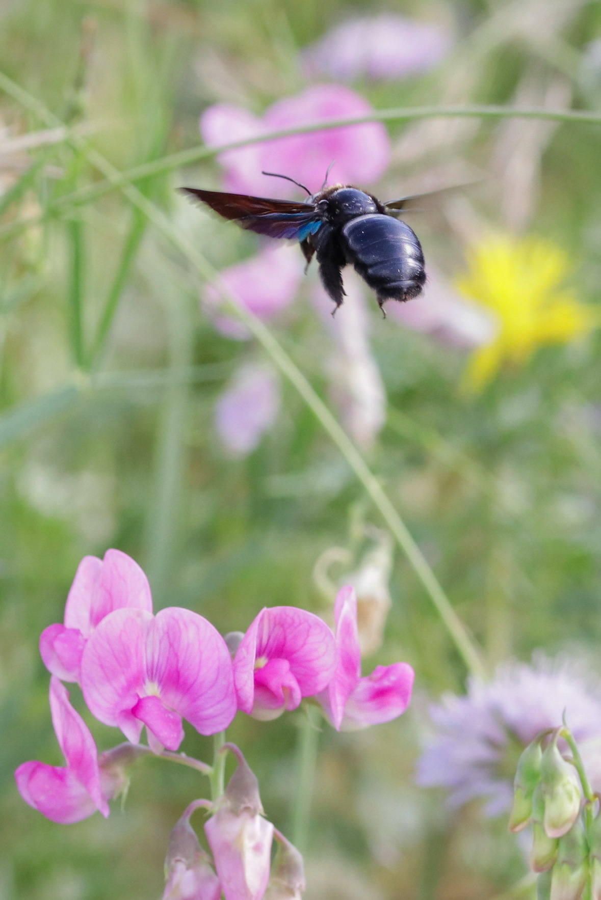 Enough, I'm leaving!