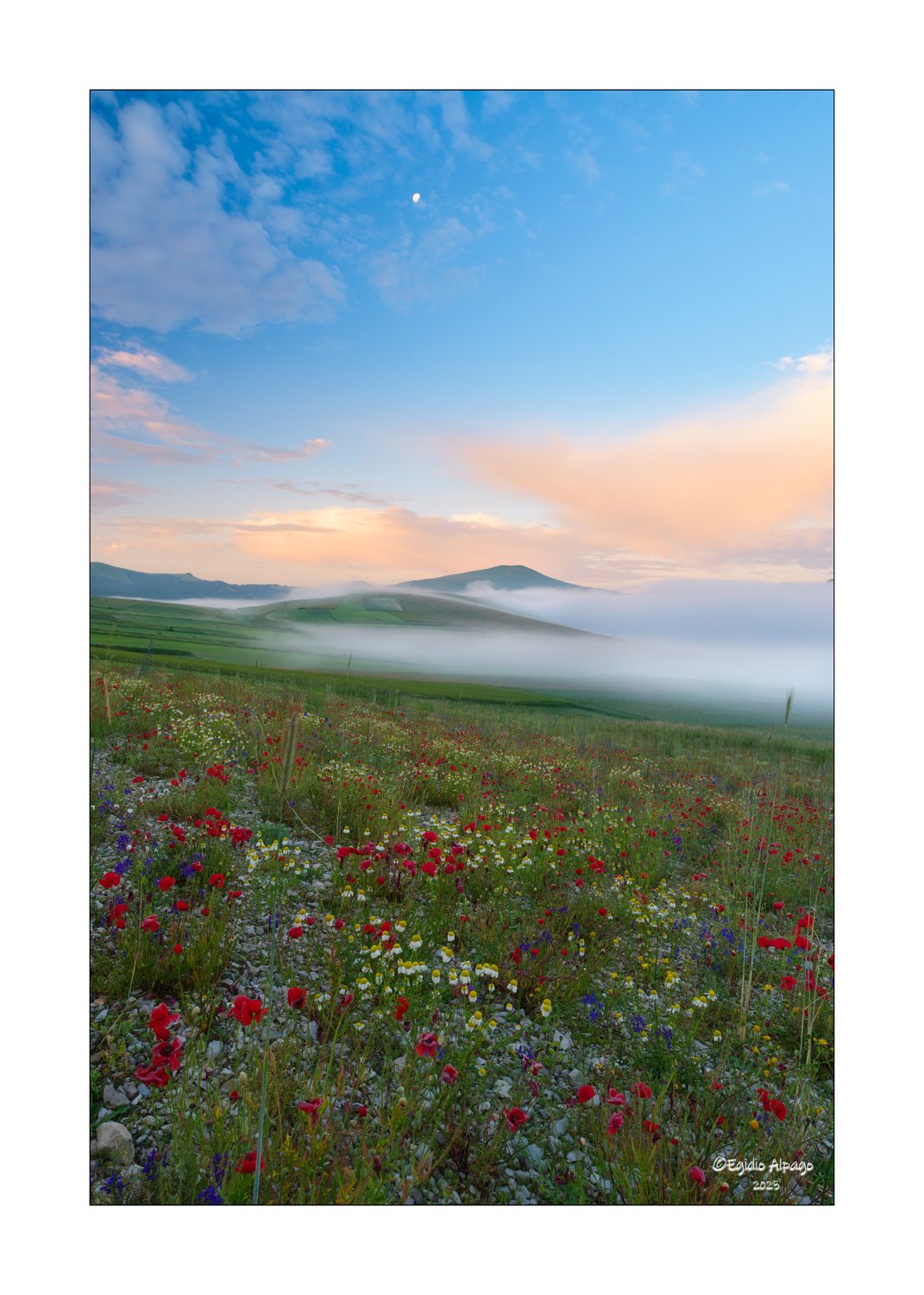Morning Colors