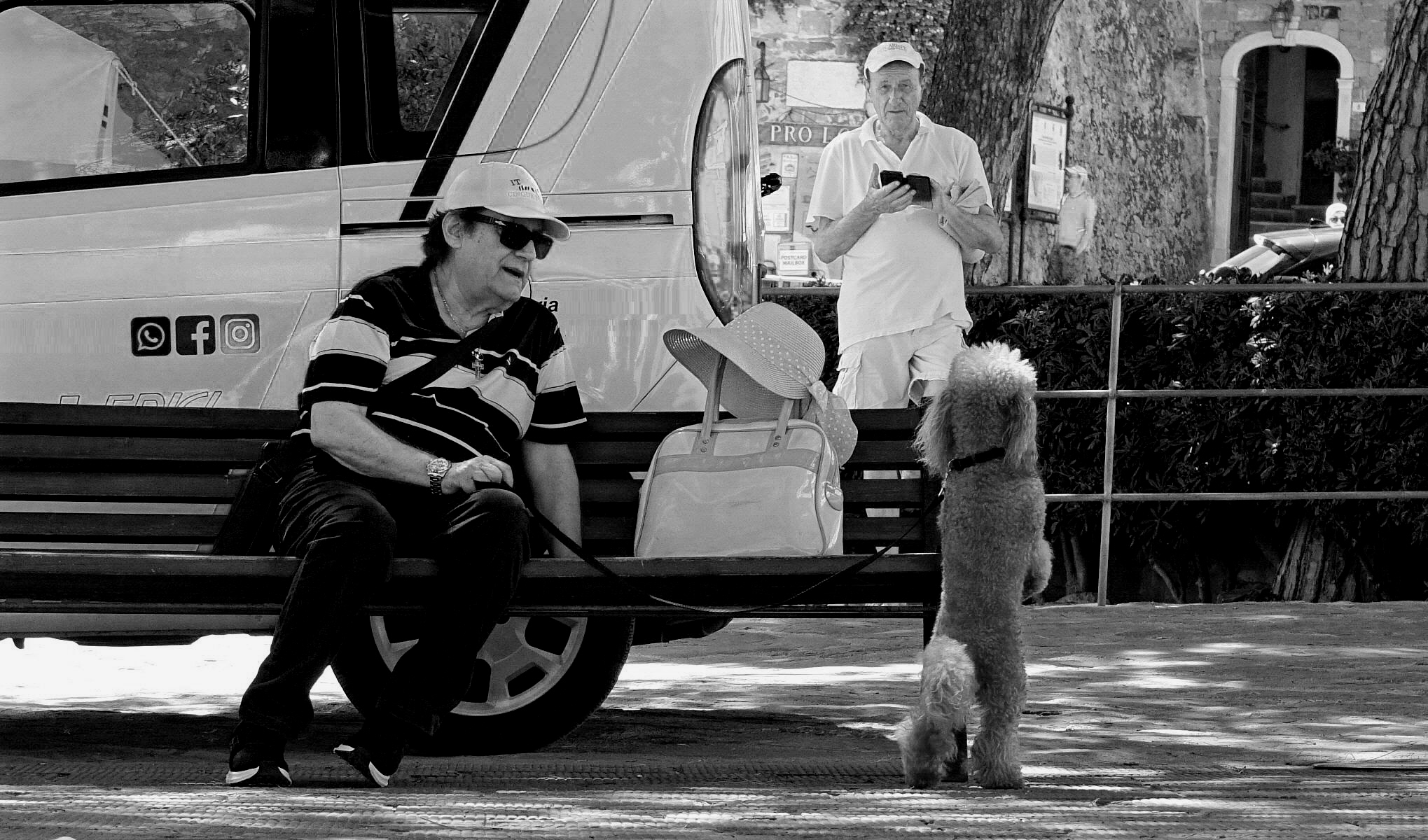 L'hai vista?Calma ragazzo sto controllando!!!!!