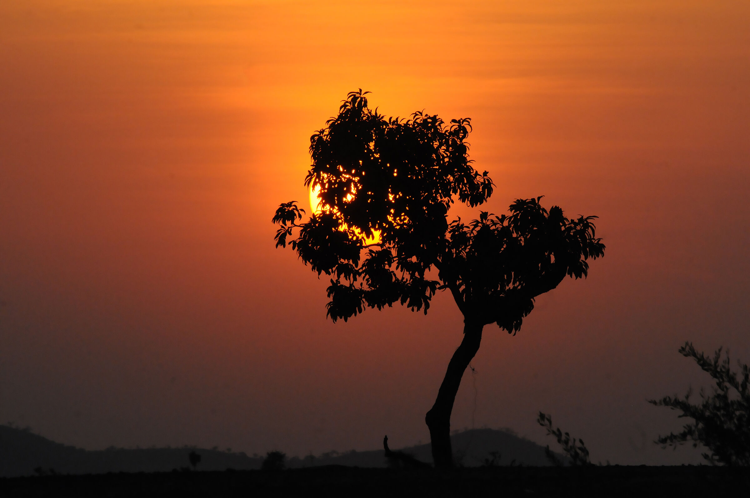 Ethiopia Beles Lake Tana