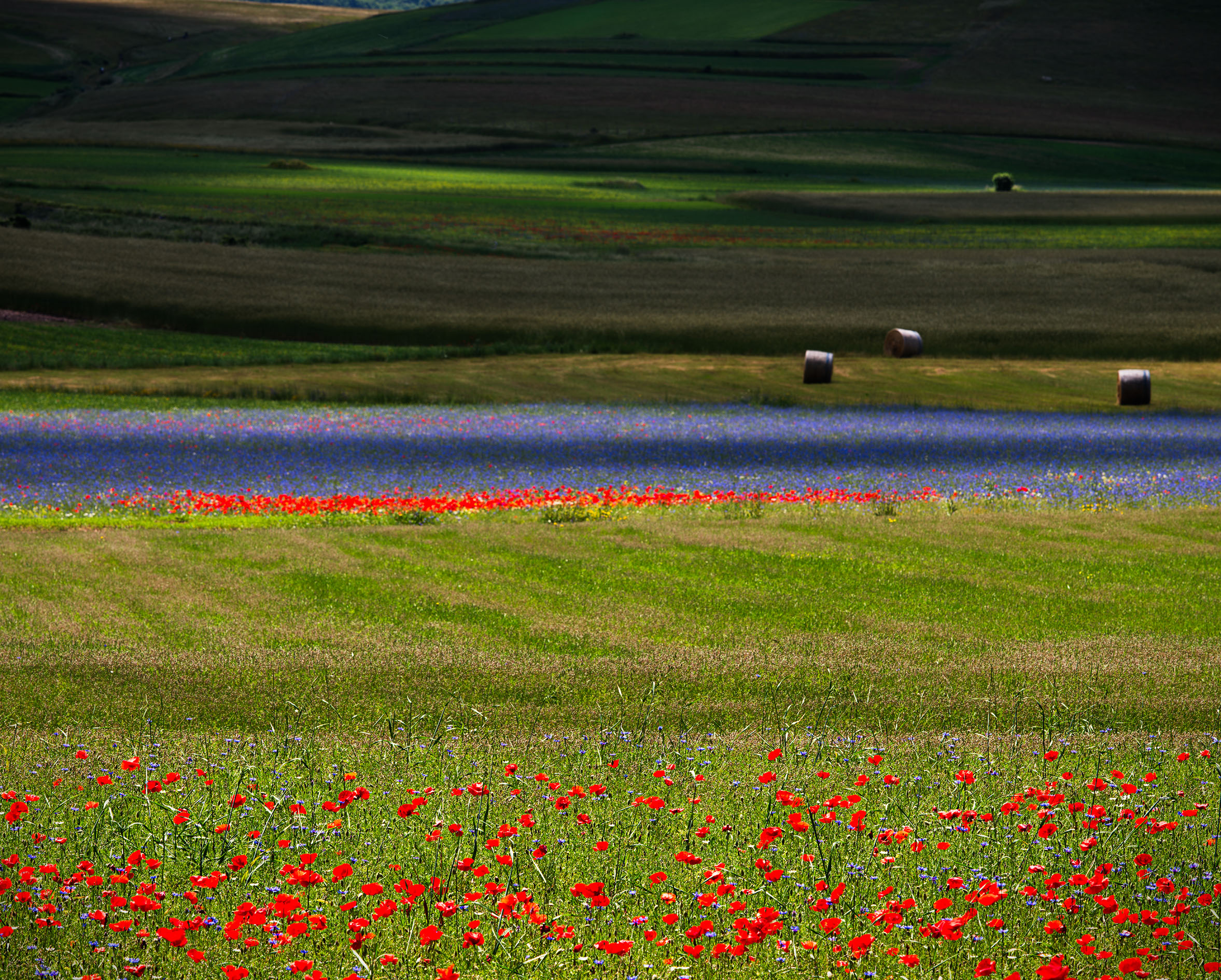 il “solito” Castelluccio.