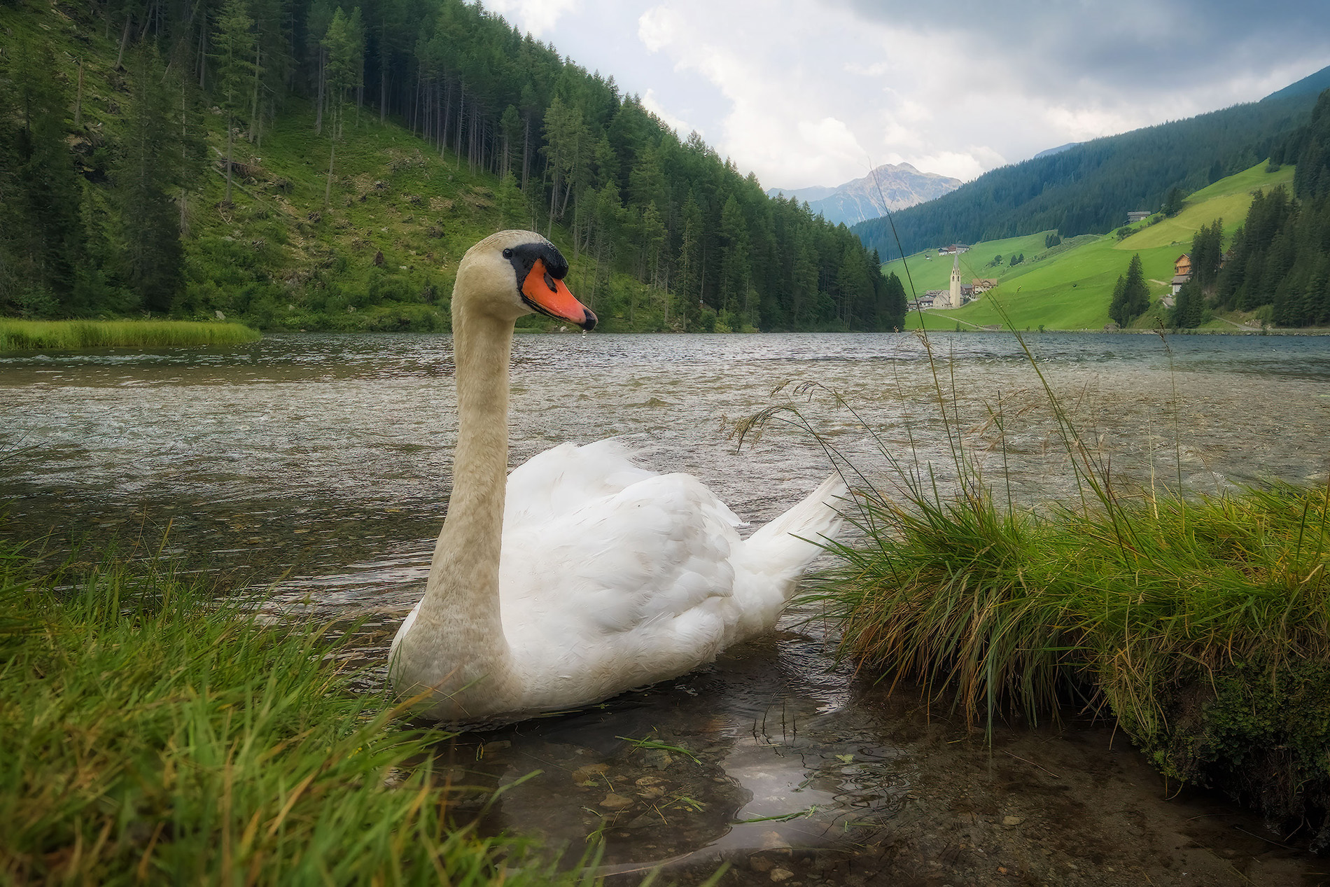 Nel Regno di Valdurna