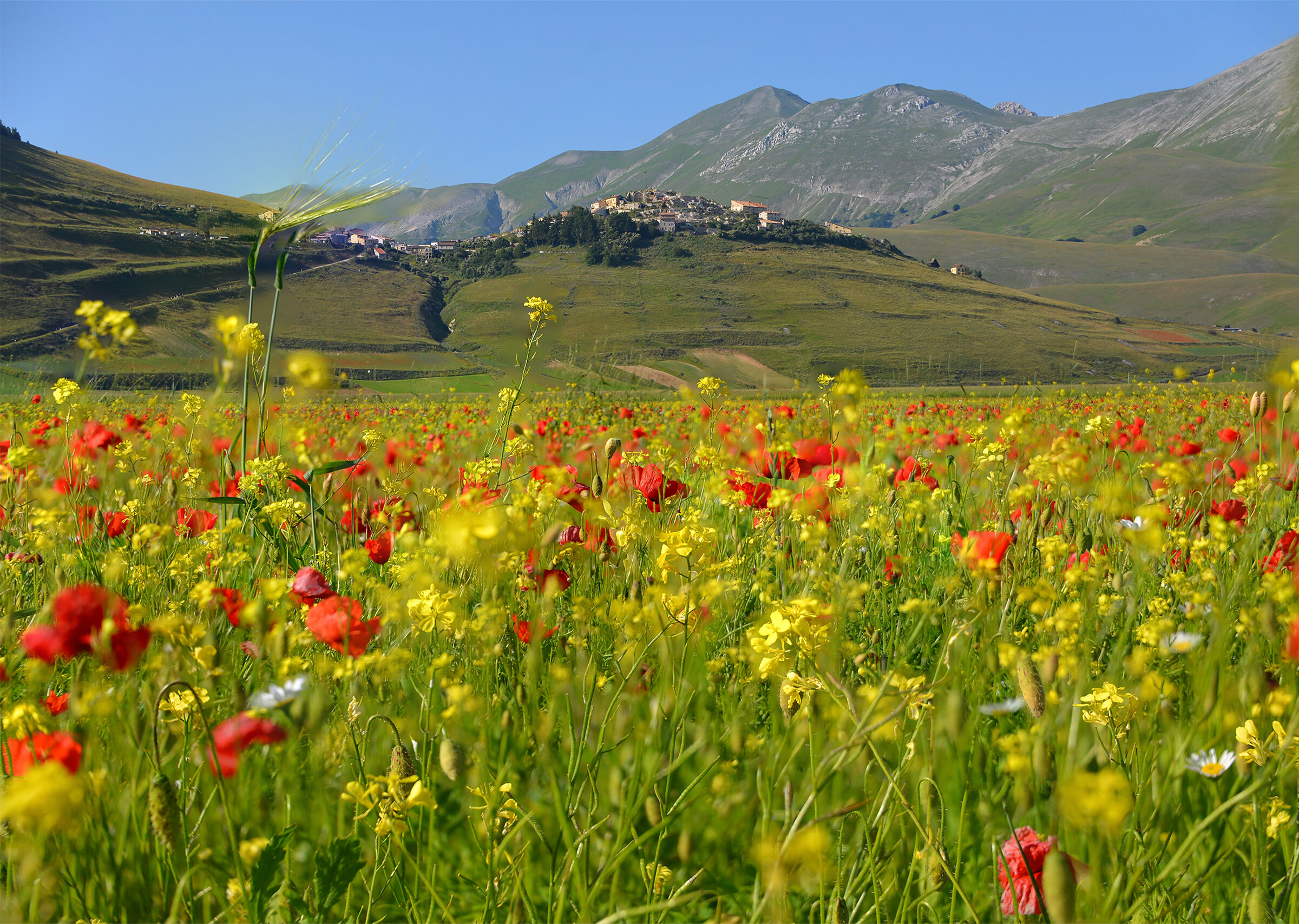 Castelluccio