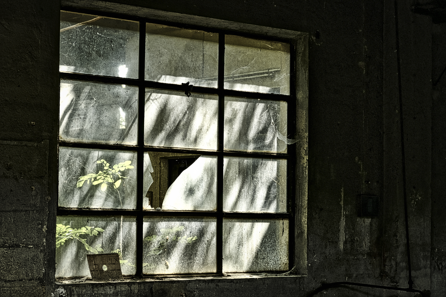 Riflessi di fabbrica