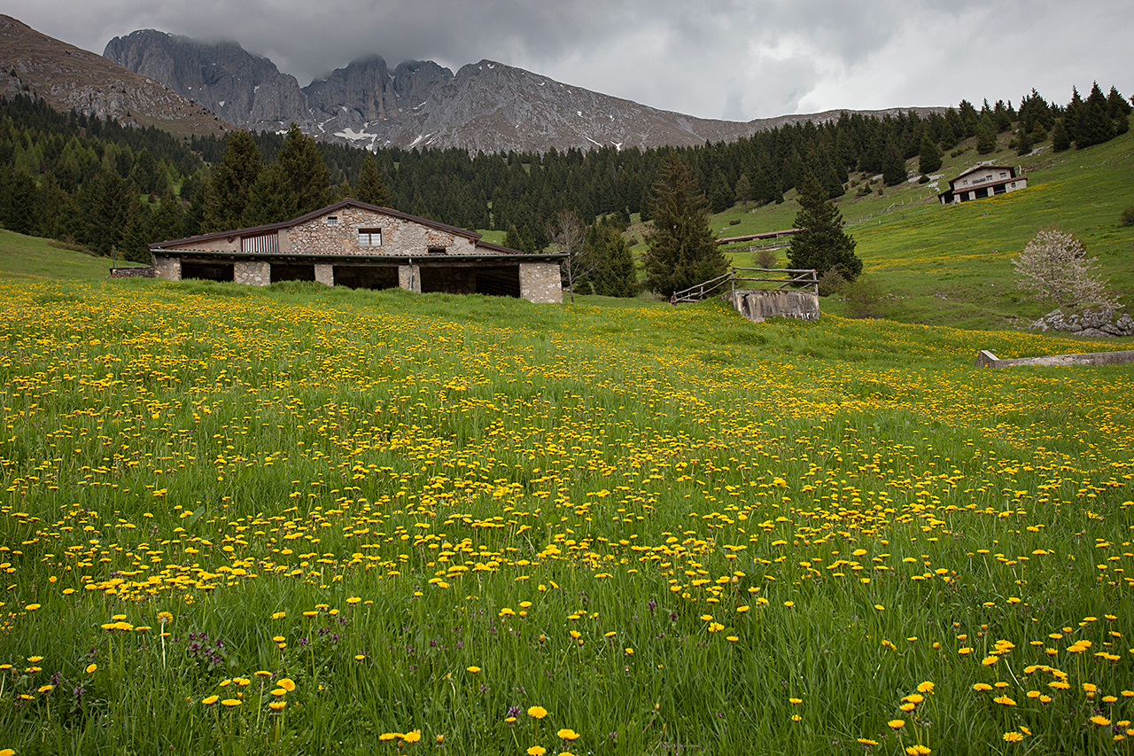 Maledetta primavera...