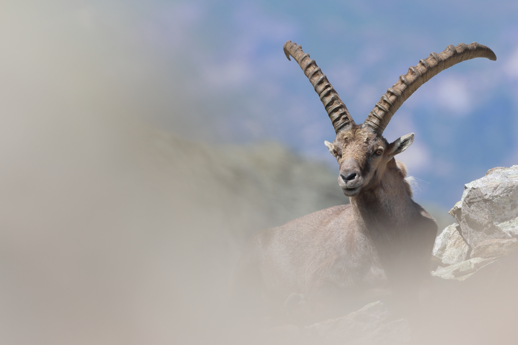 Relax di mezzodi'...