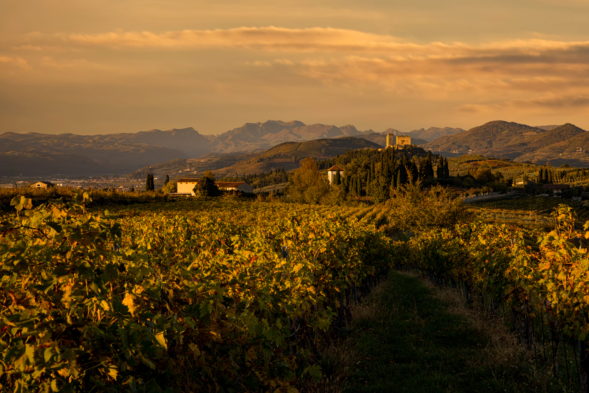 Verso il Castel d' Illasi