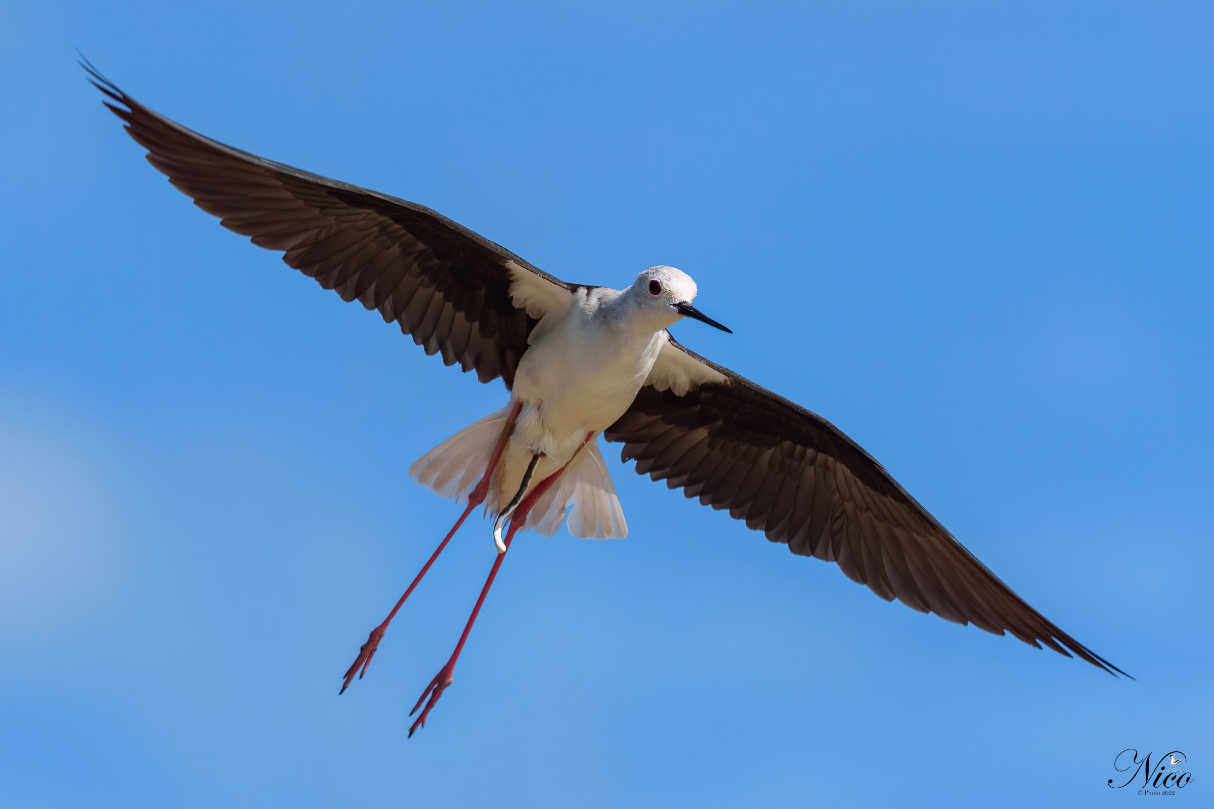 Bombardamenti in corso