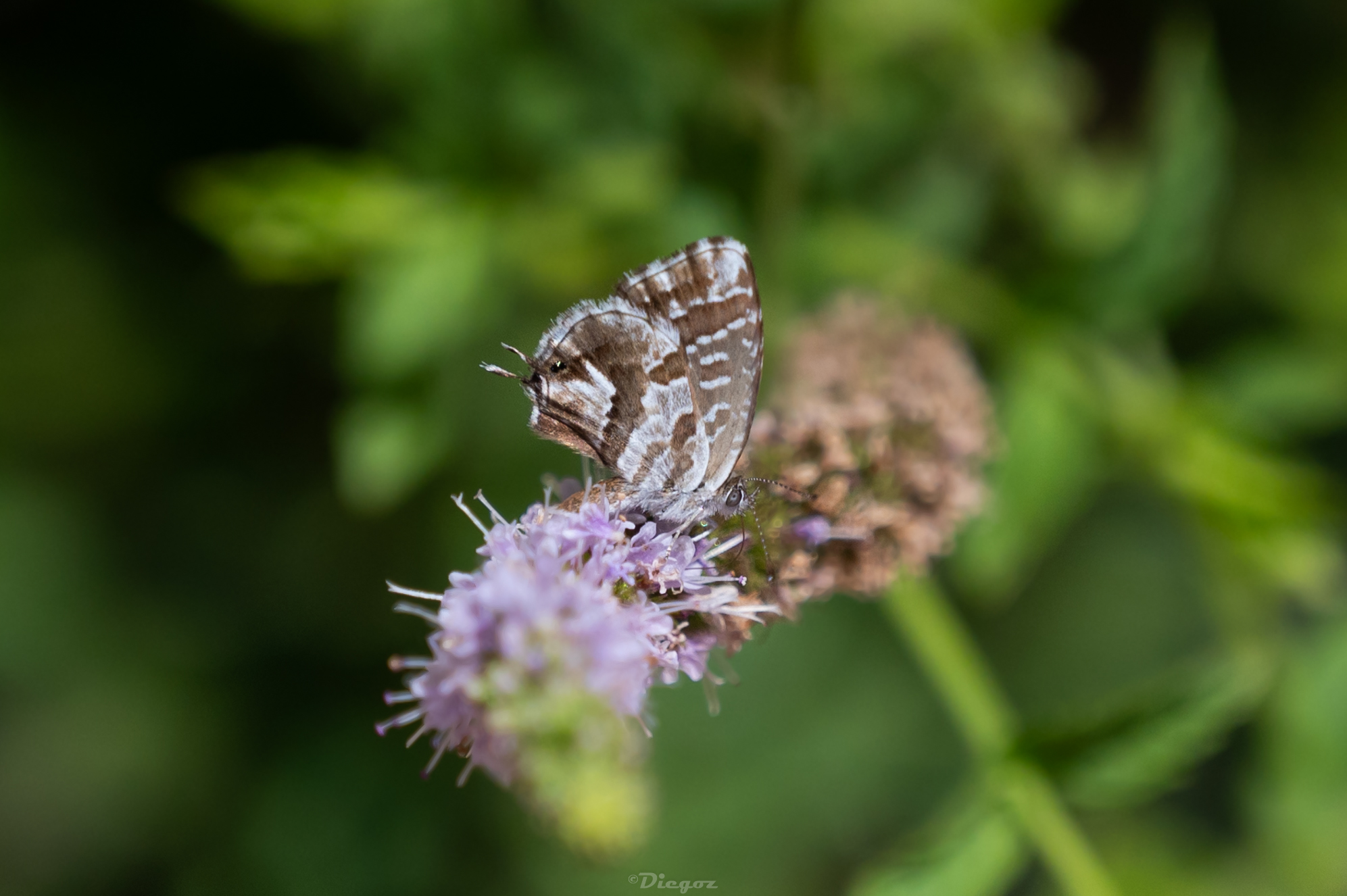 Untitled Photo
