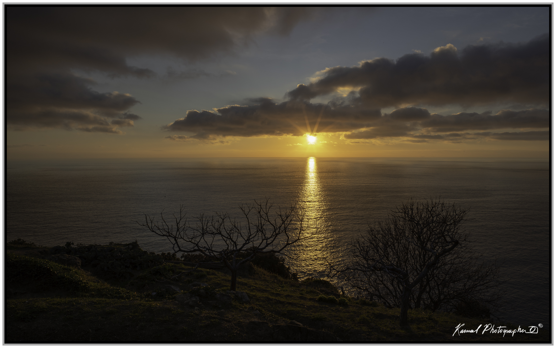 Untitled Photo