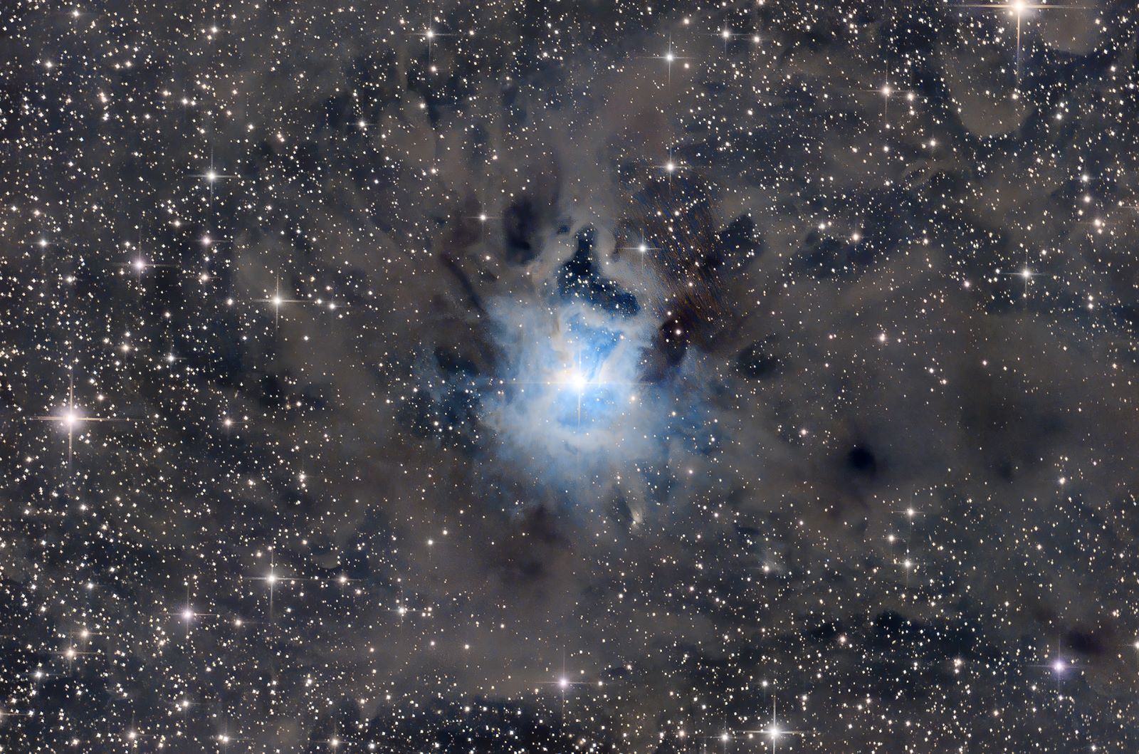 Iris Nebula - NGC 7023