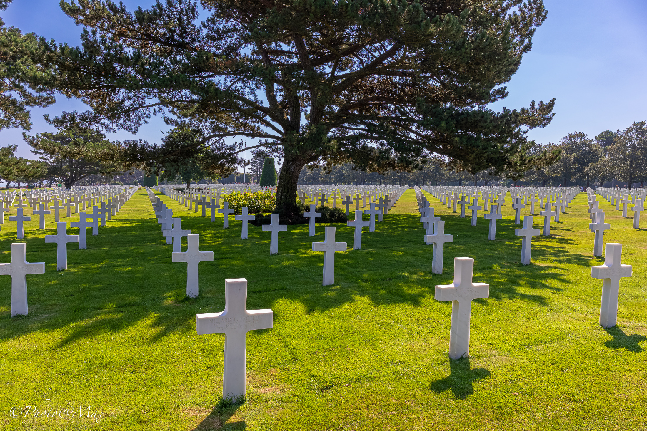 The price of freedom