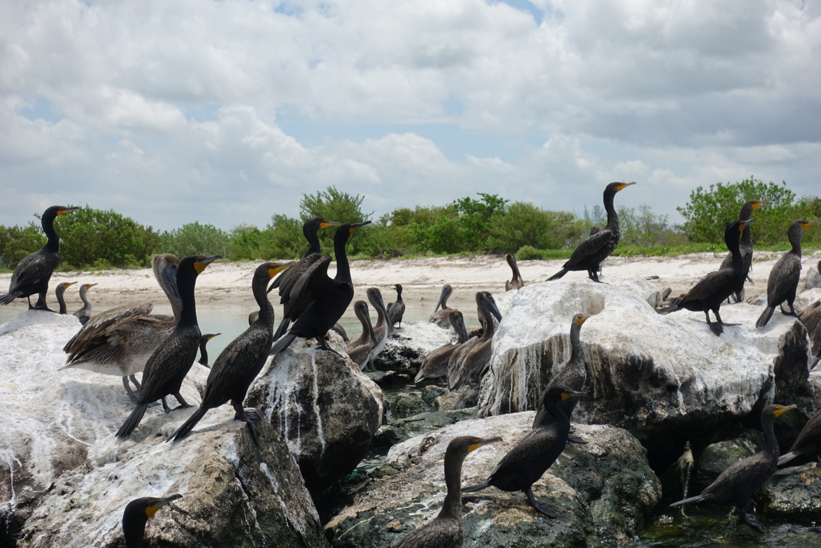Sailing to the salt pans of Celestùn, Yucatán.