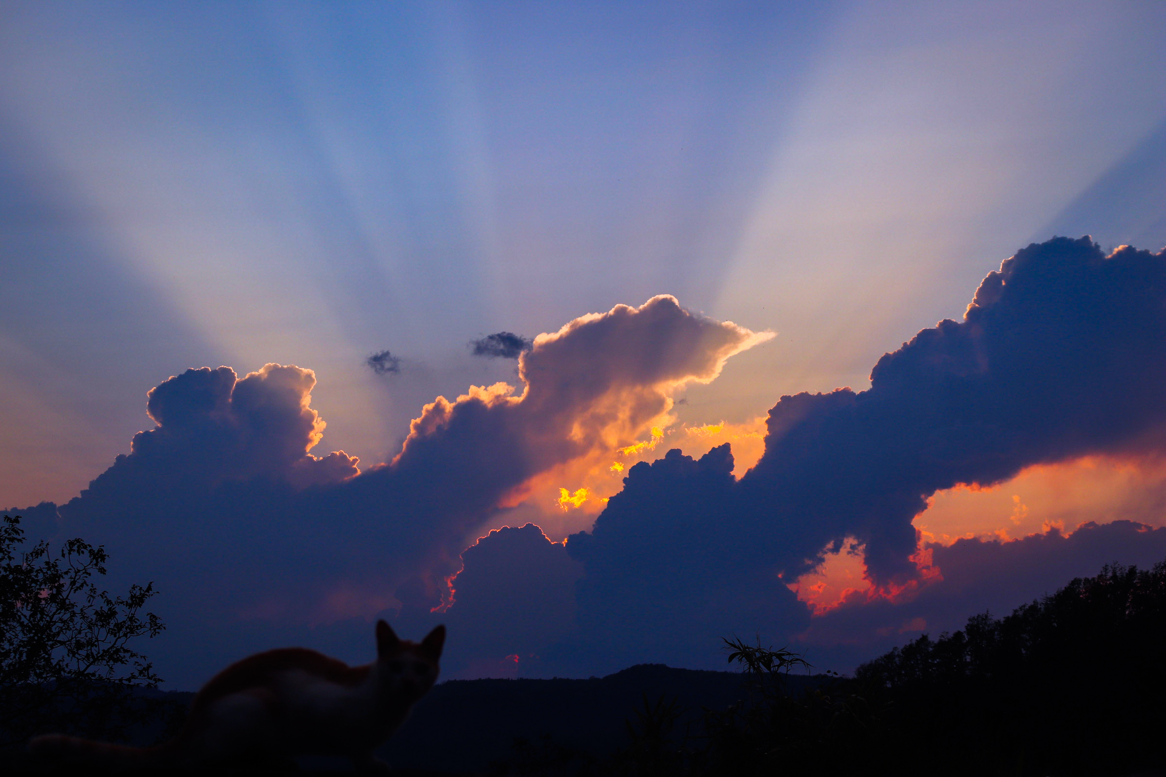 Sunset