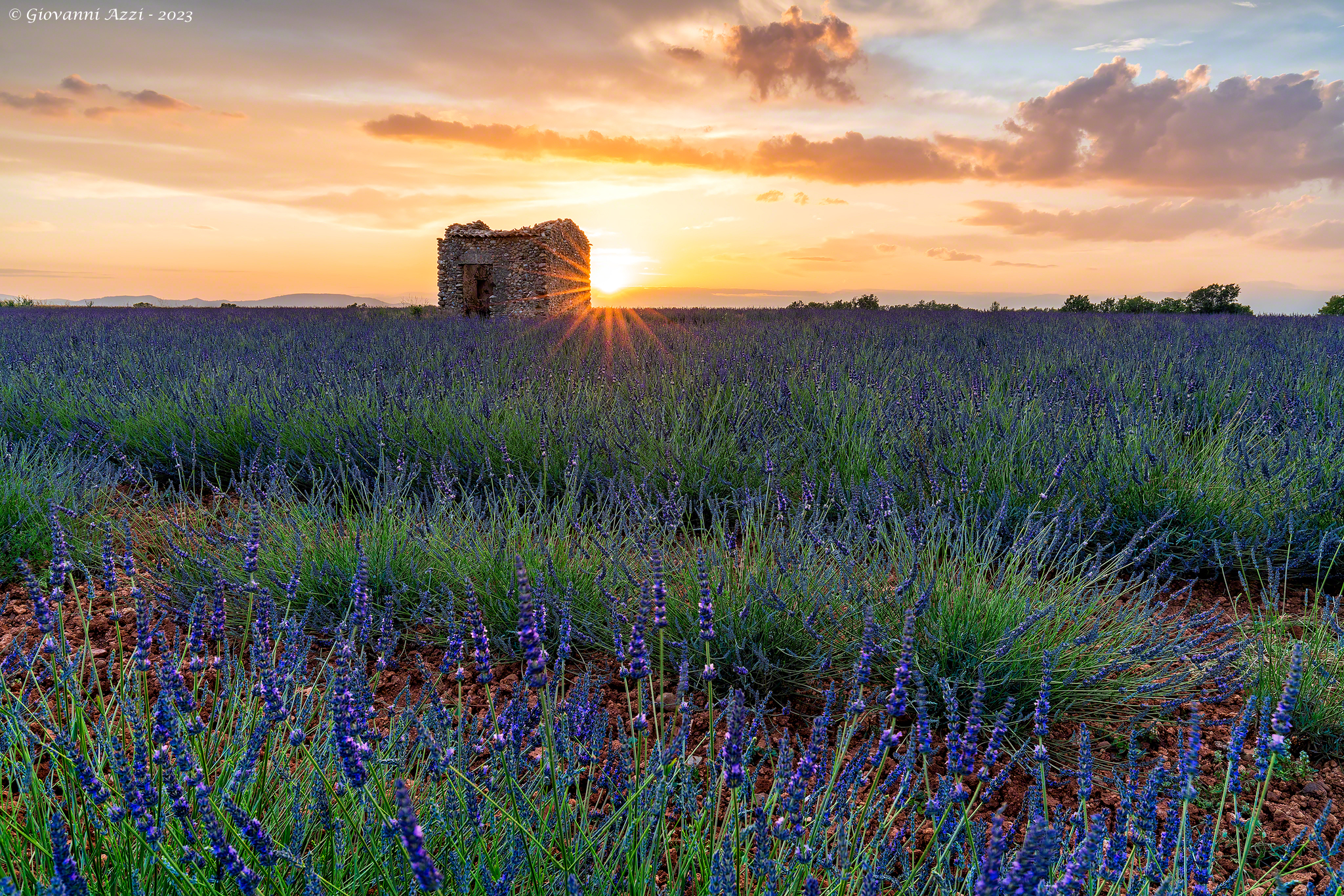 Il sole, il casale e la lavanda