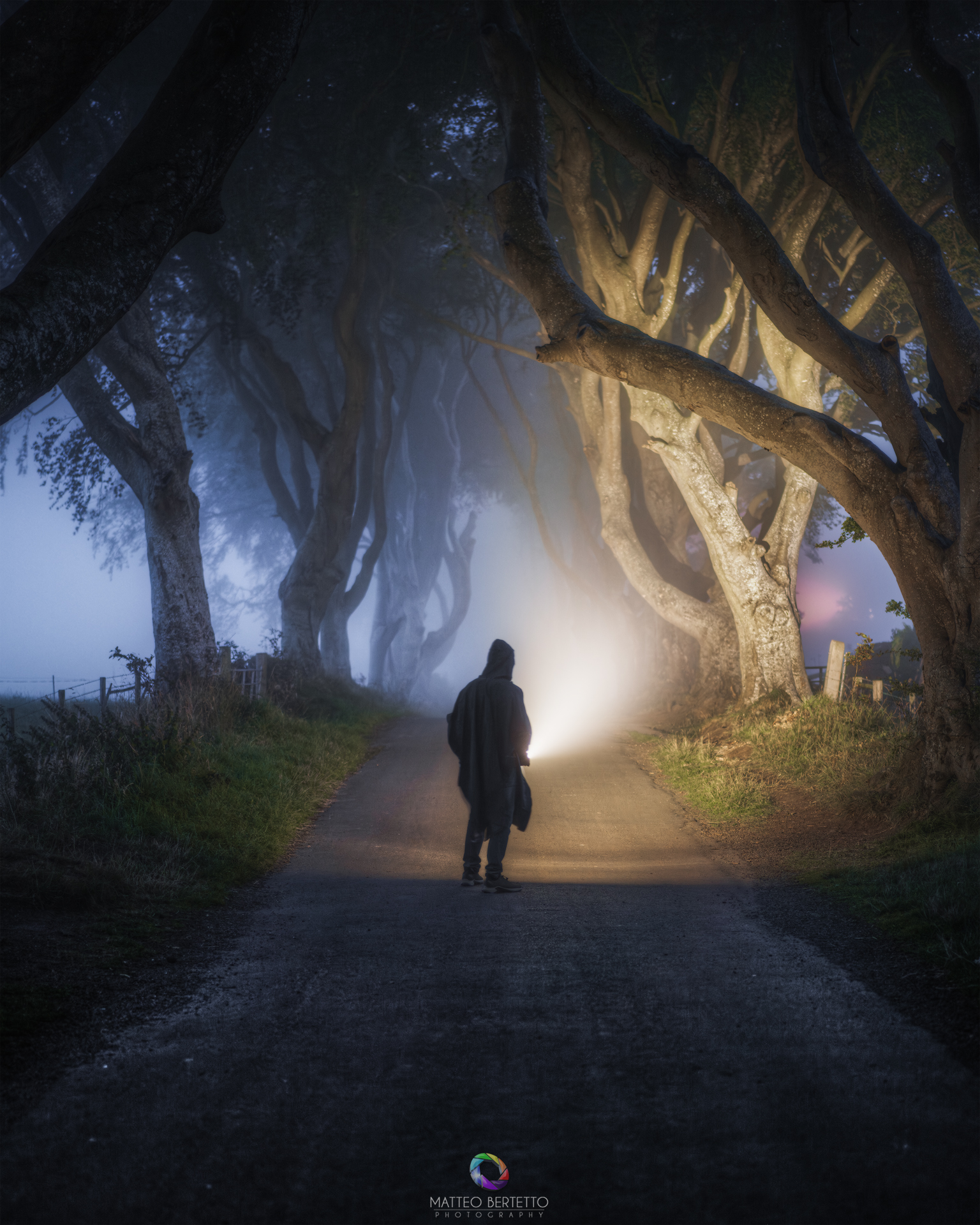 The Dark Hedges
