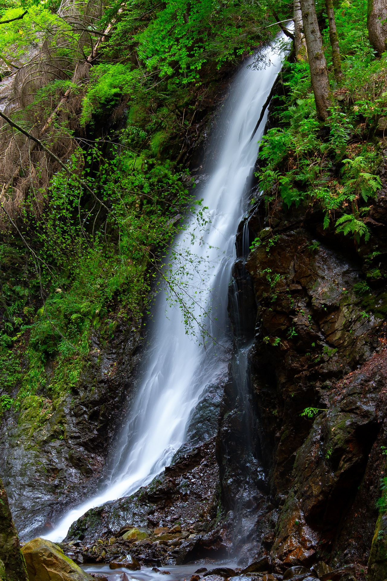 2nd Val Gerola 7/2023